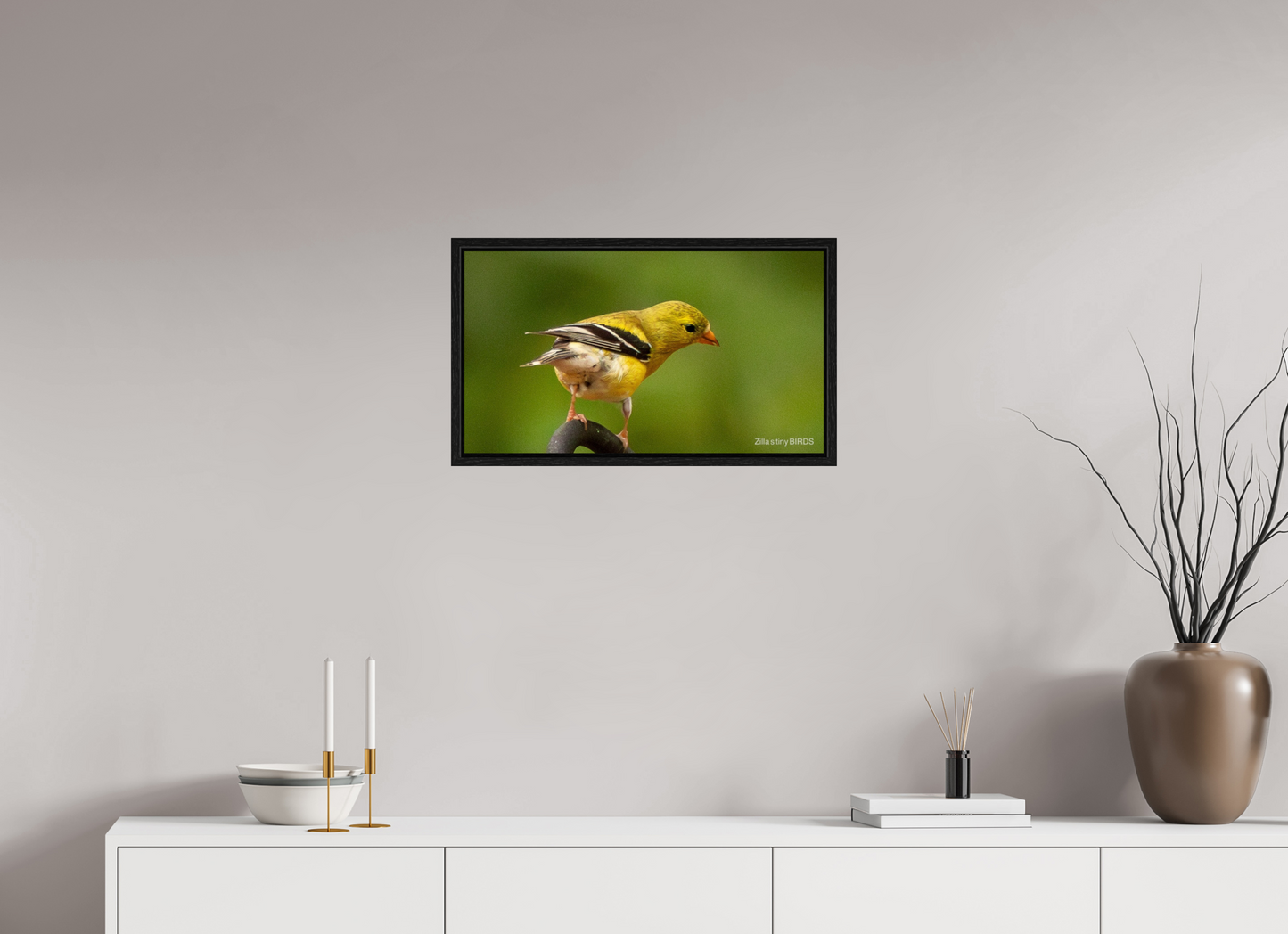 24 x 13.5″, Floater Frame Zillas Zoom Image 380