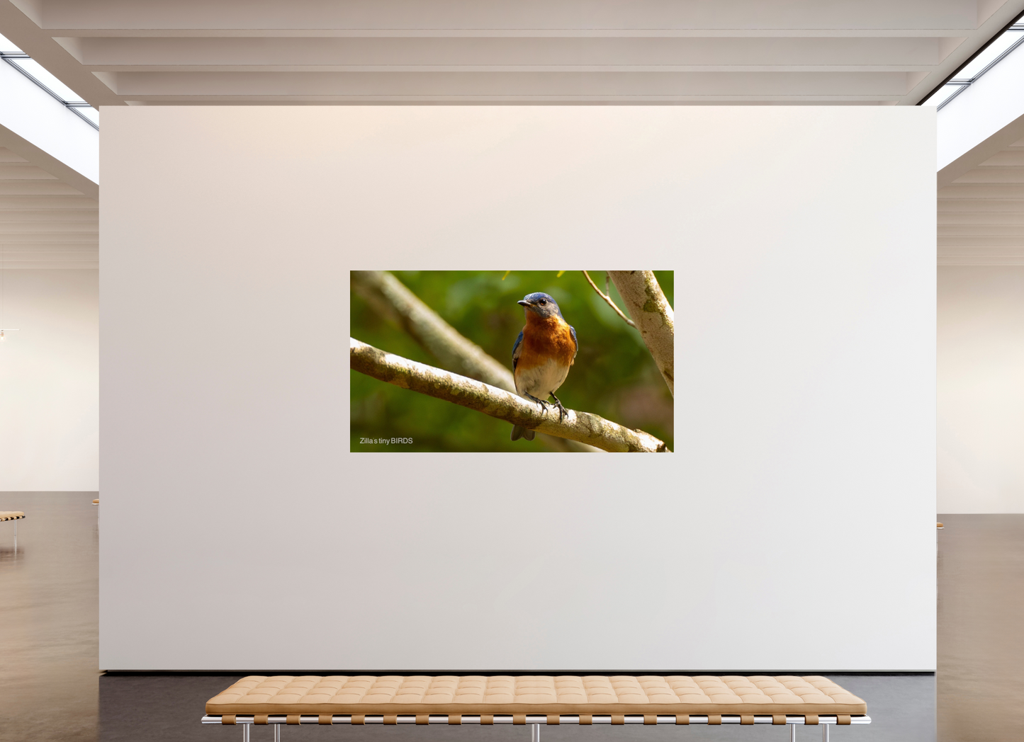 80 x 45″, Photo Print On Fuji Crystal DP II Zillas Zoom Image 373