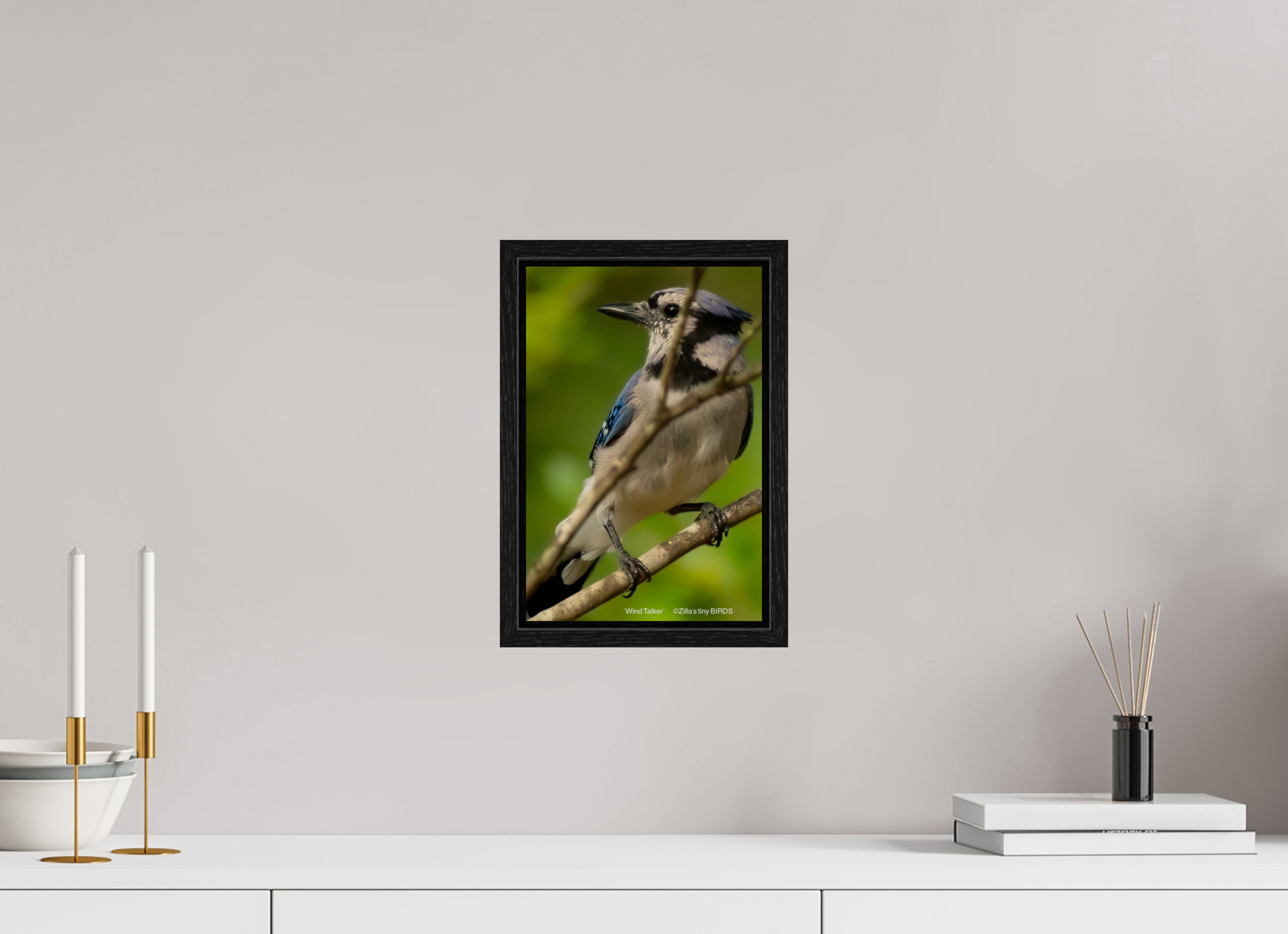 8 x 12″, Floater Frame Zillas Zoom Image 435