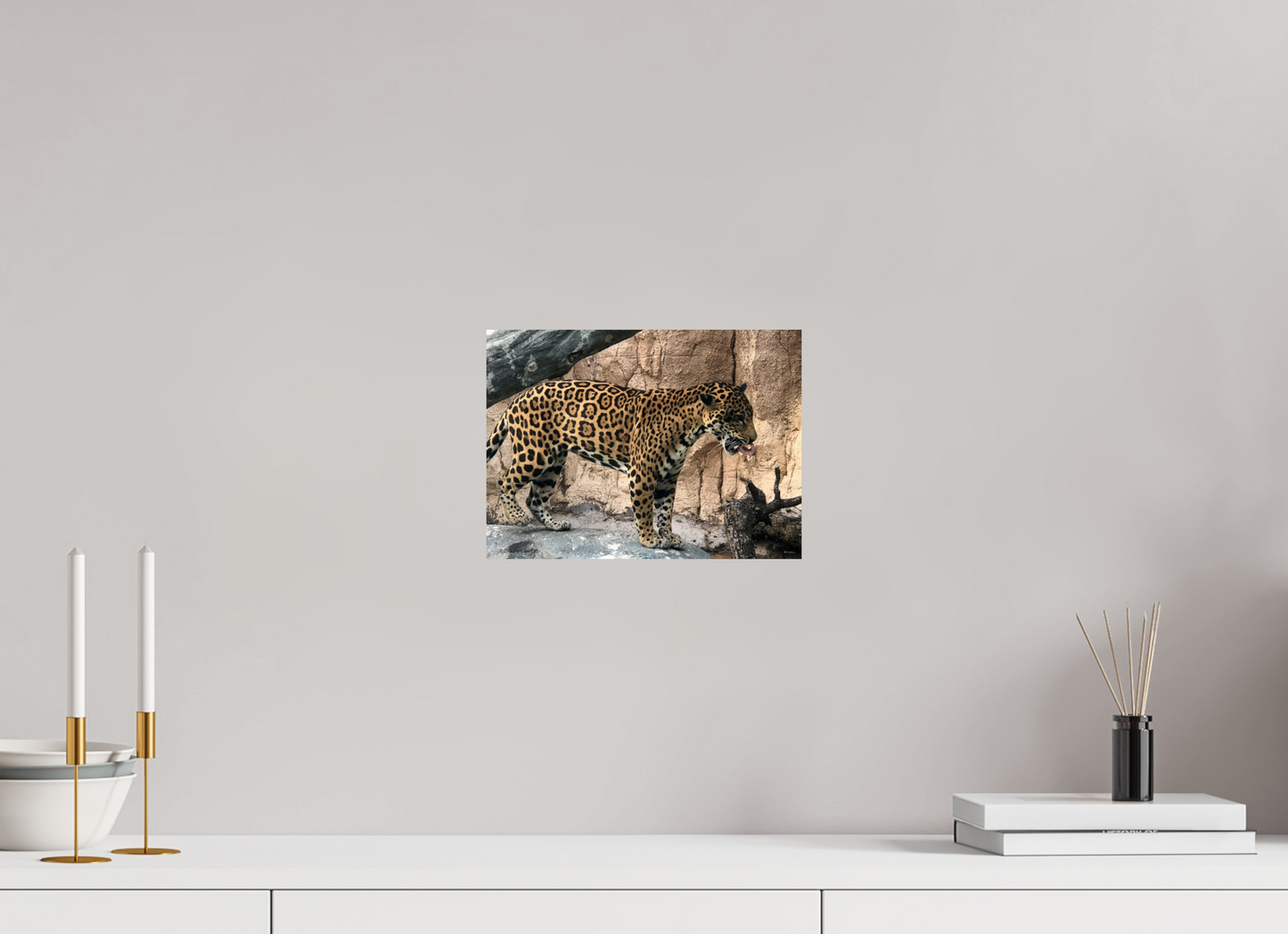 11 x 8″, Photo Print On Fuji Crystal DP II Zillas zoom image 137