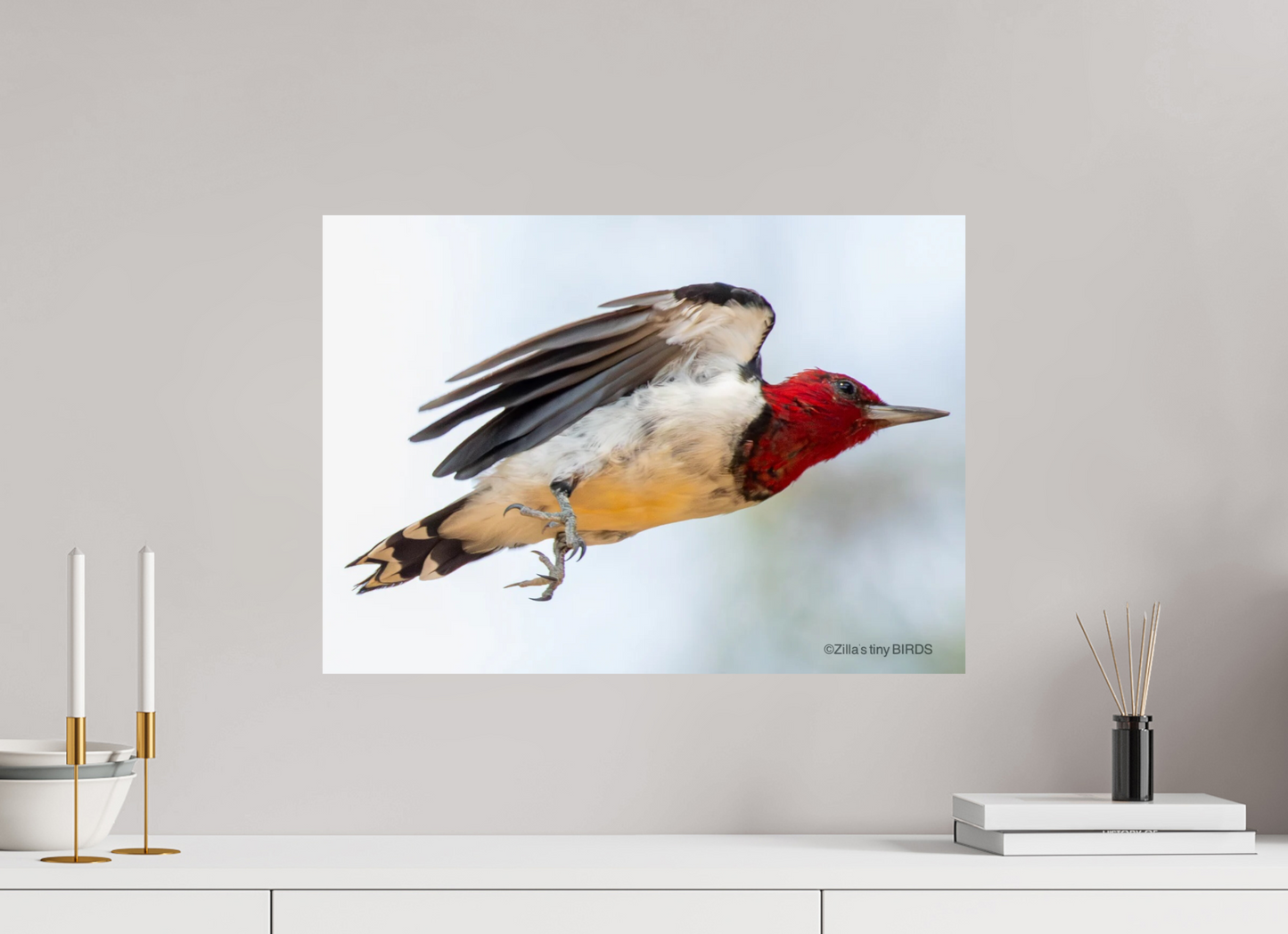 22.4 x 16″, Photo Print On Fuji Crystal DP II Zillas Zoom Image 325