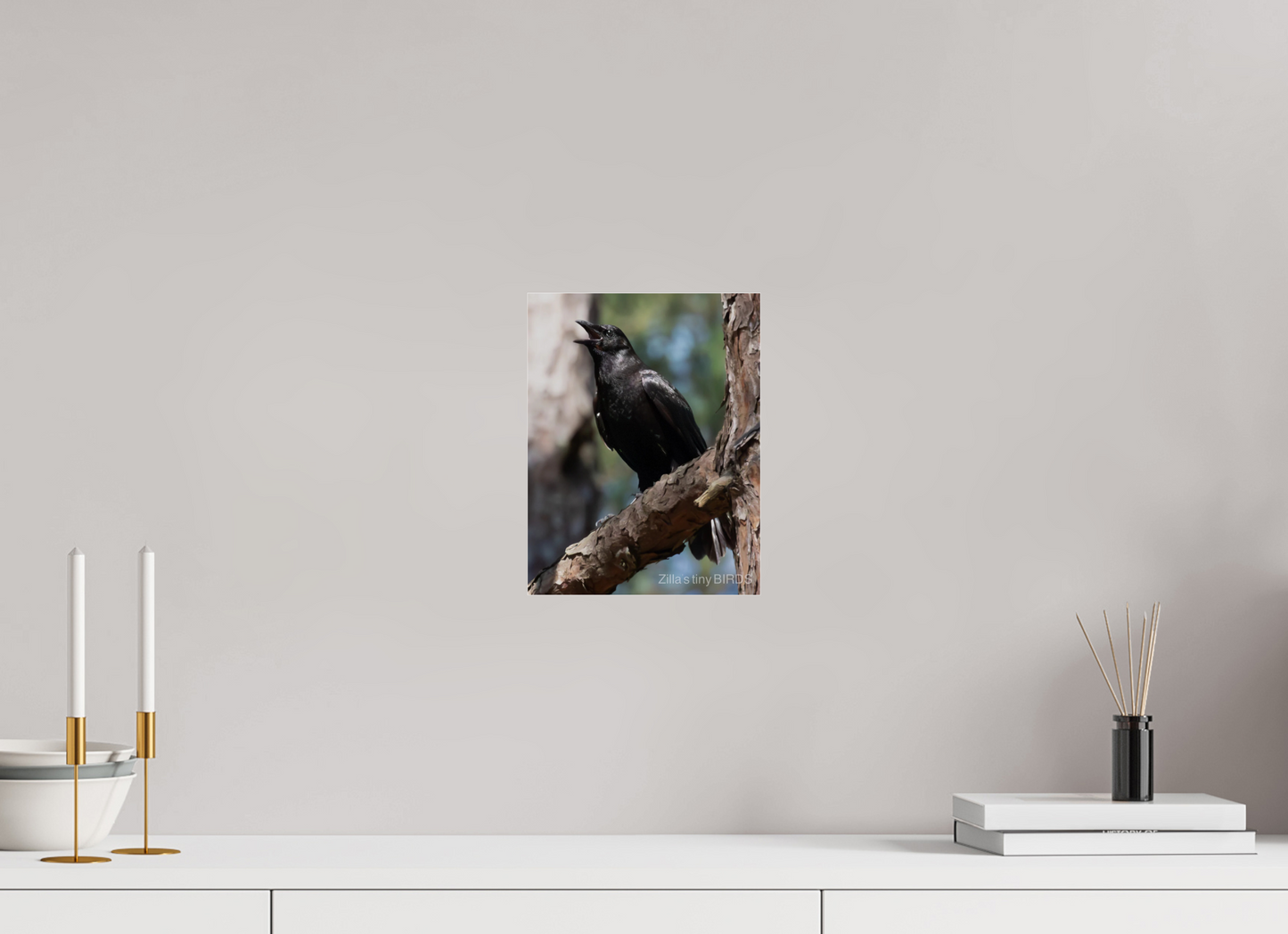 8 x 10.4″, Photo Print Under Acrylic Glass Zillas Zoom Image 498