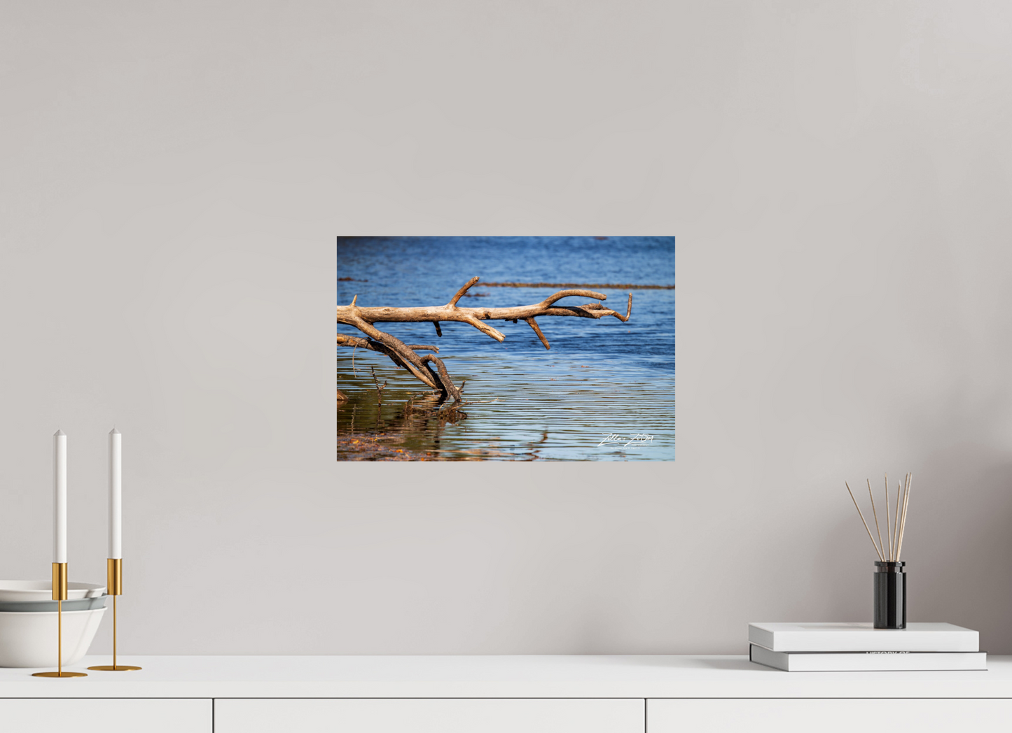 15 x 10″, Photo Print On Fuji Crystal DP II Zillas Zoom Image 213