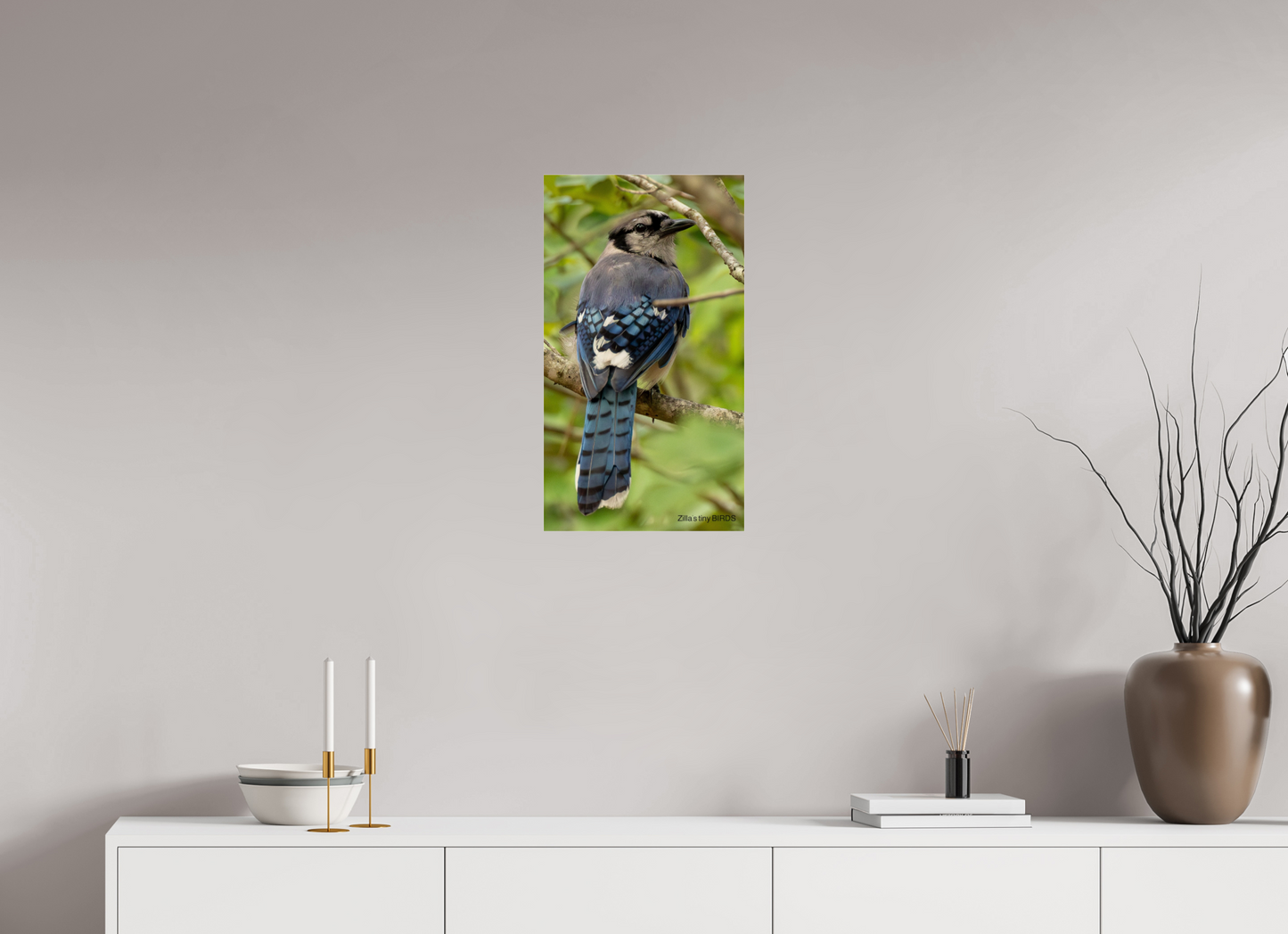 13.5 x 24″, Photo Print Under Acrylic Glass Zillas Zoom Image 485