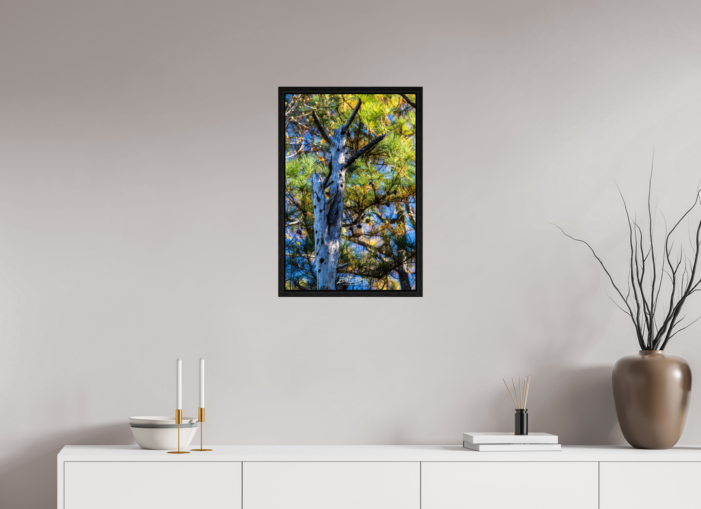 16 x 24″, Floater Frame Zillas Zoom Image 252