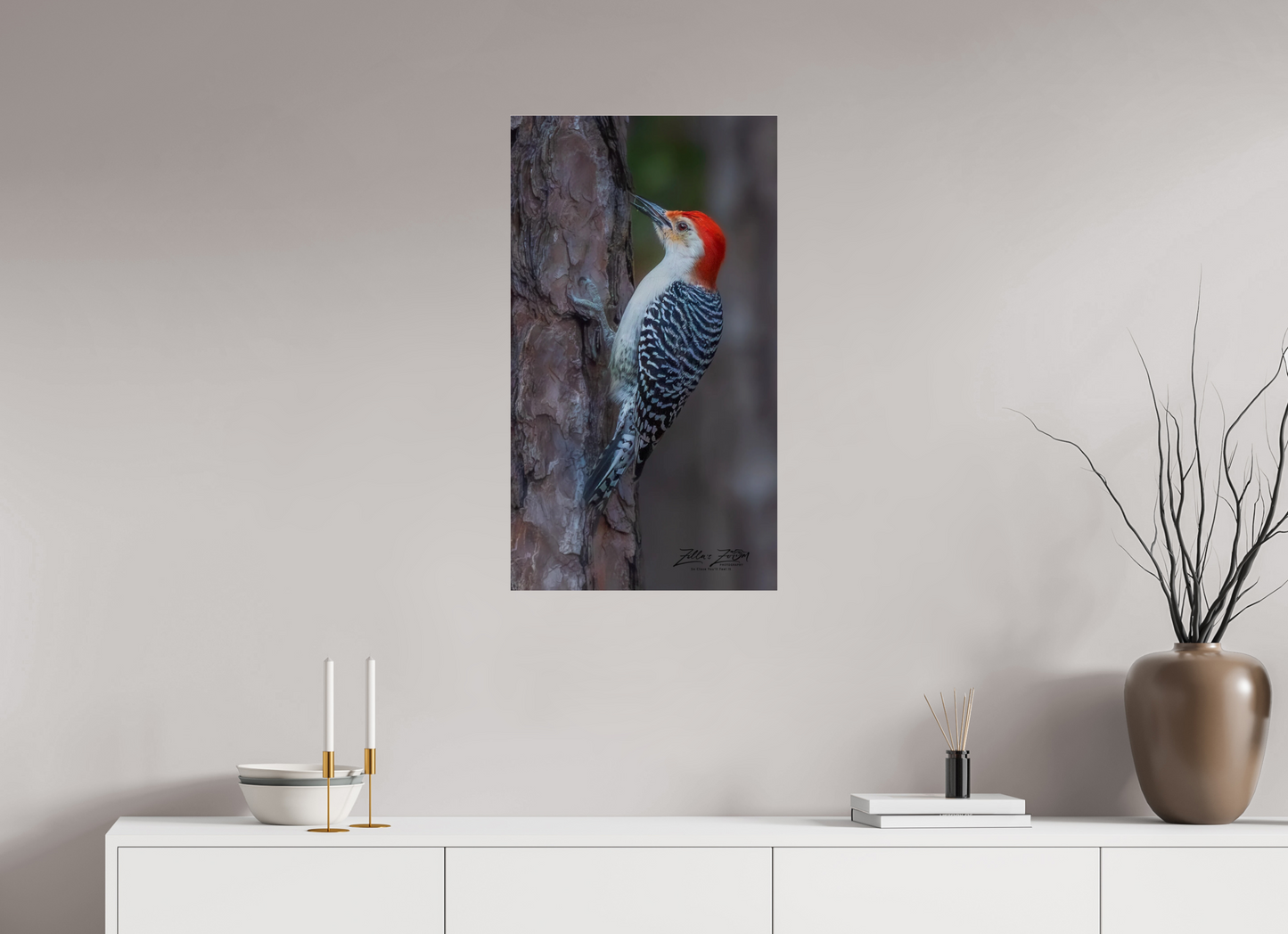 18 x 32″, Photo Print Under Acrylic Glass Zillas Zoom Image 445