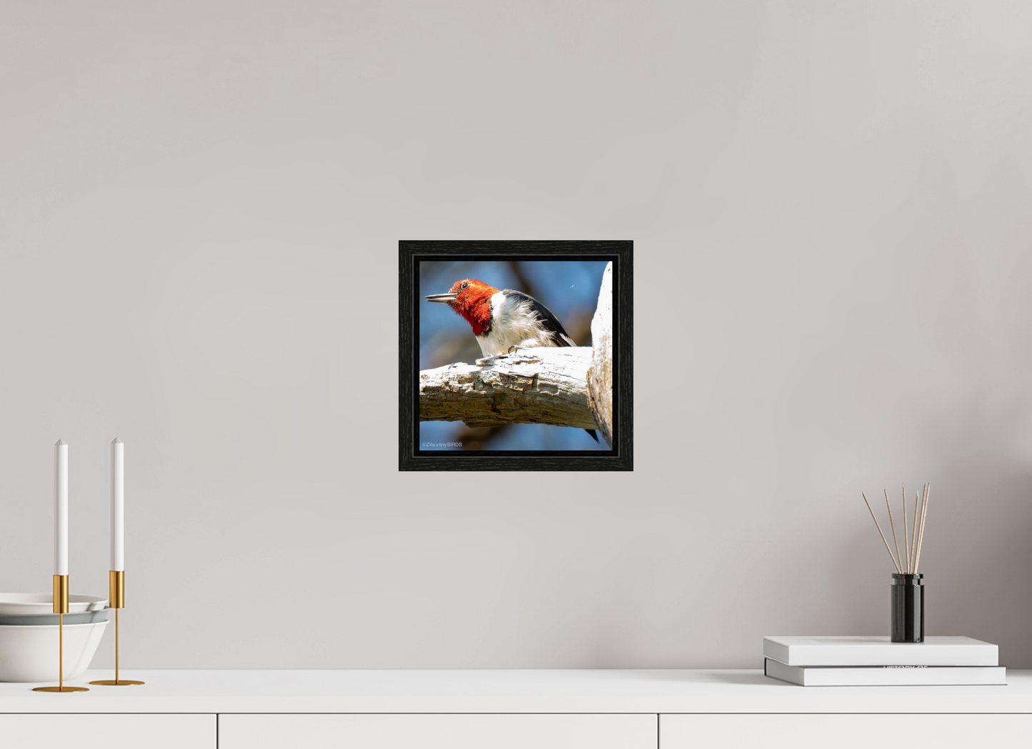 8.1 x 8″, Floater Frame Zillas Zoom Image 273