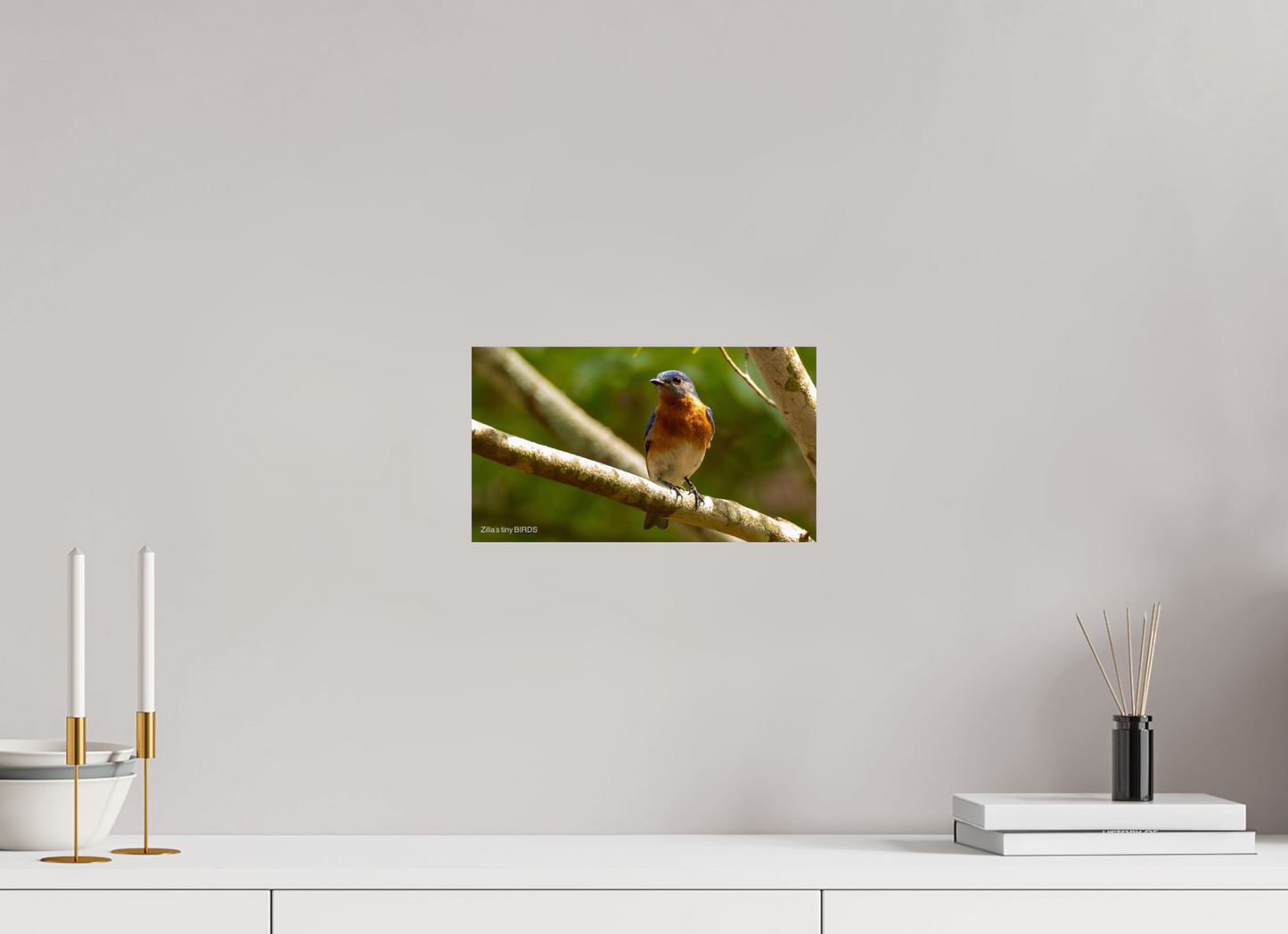 12 x 6.8″, Photo Print On Fuji Crystal DP II Zillas Zoom Image 373
