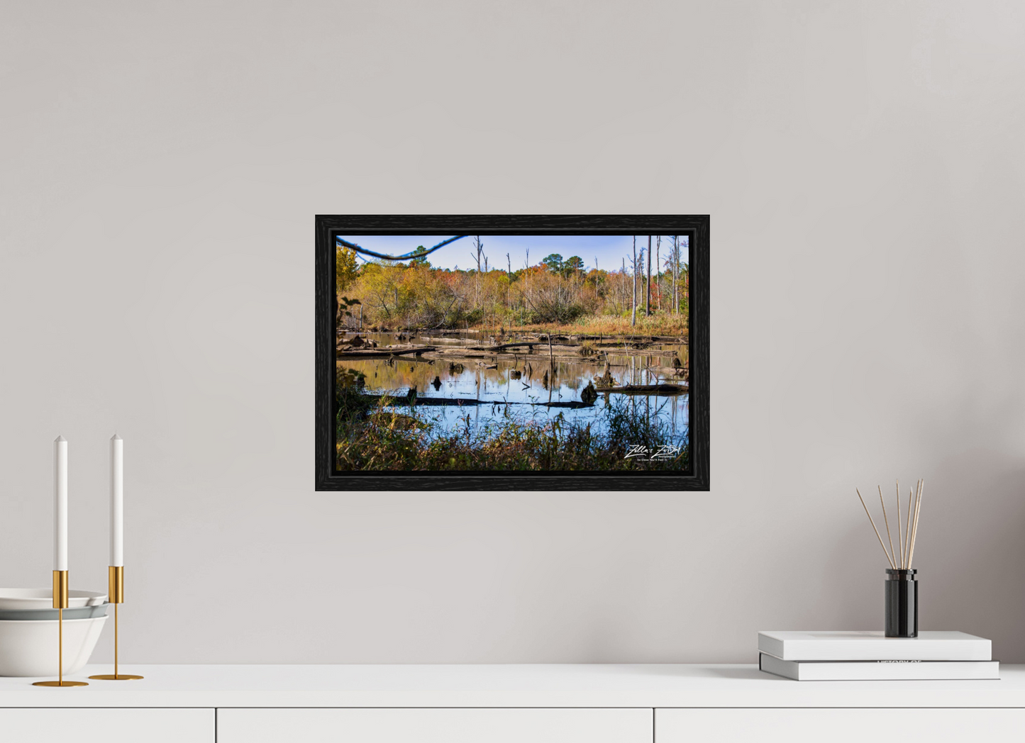 15 x 10″, Floater Frame Zillas Zoom Image 205