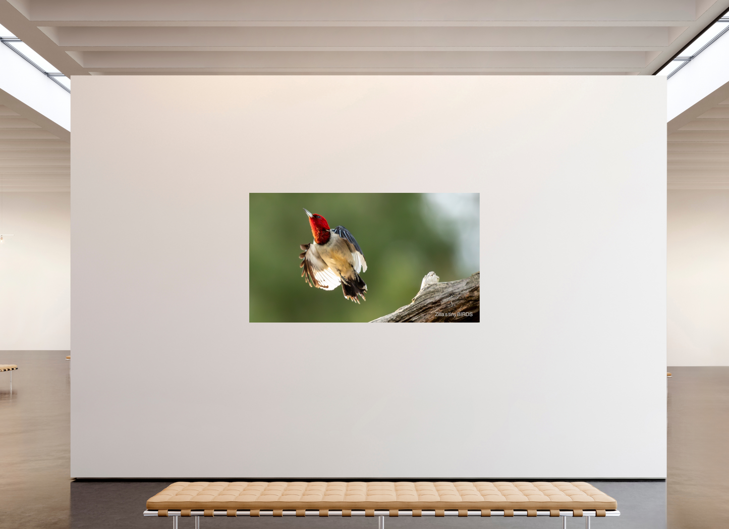 80 x 45″, Photo Print On Fuji Crystal DP II Zillas Zoom Image 374