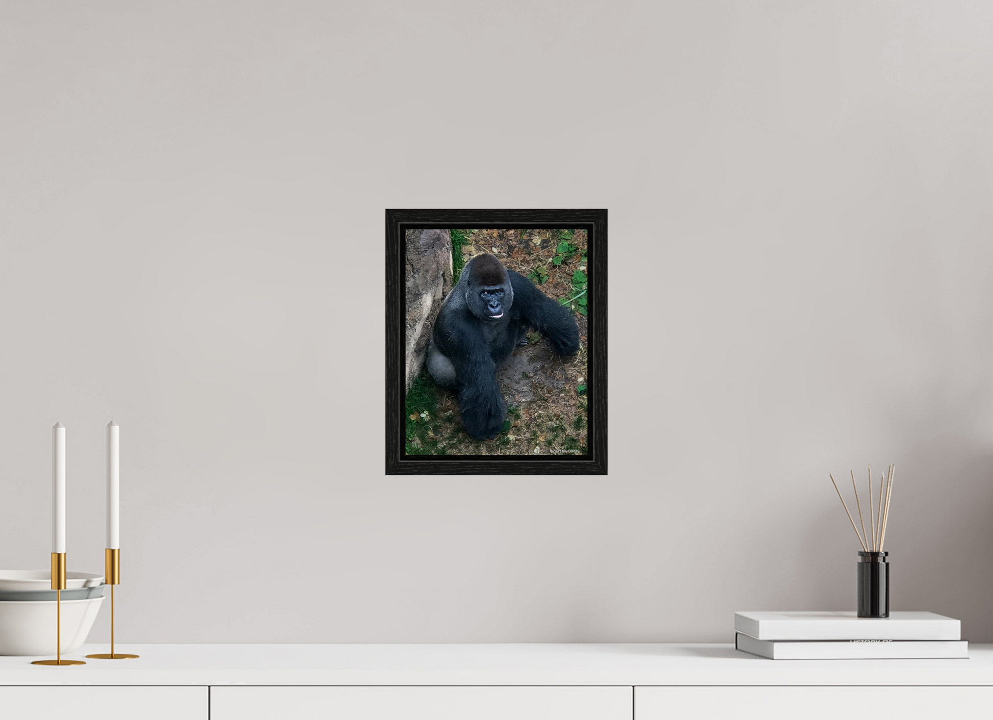 8 x 9.9″, Floater Frame Zillas zoom image 151