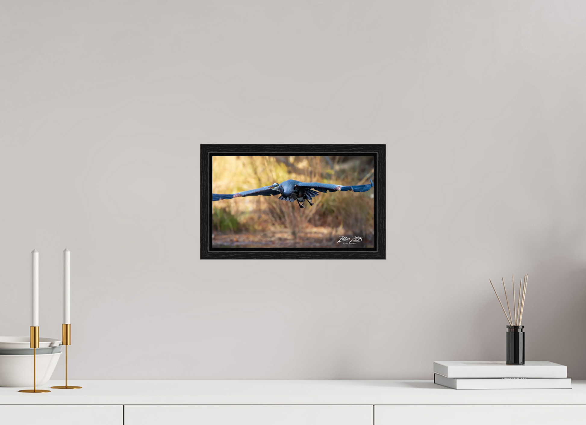 12 x 6.8″, Floater Frame Zillas Zoom Image 296
