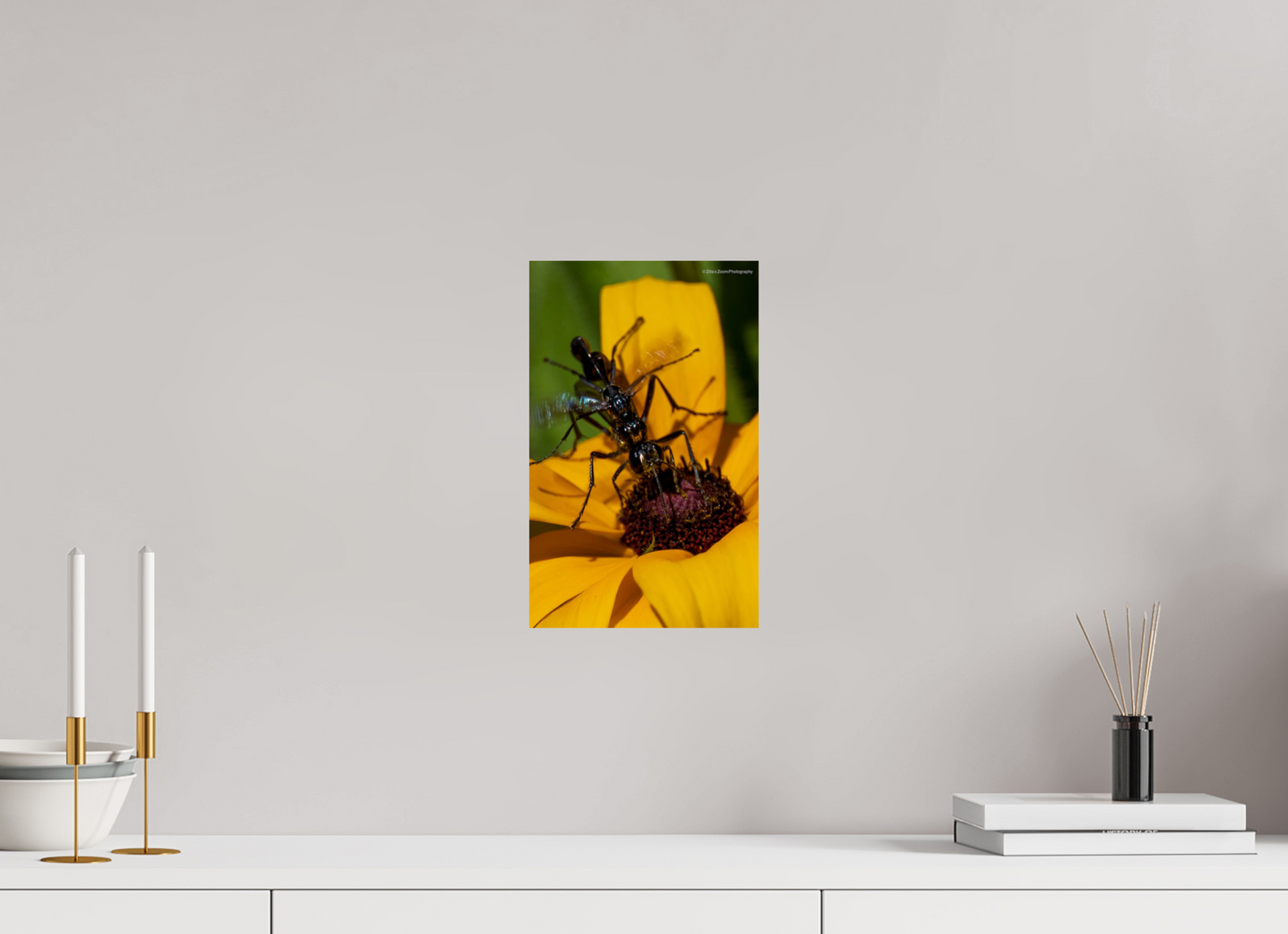 8 x 12.8″, Photo Print On Fuji Crystal DP II Zillas Zoom Image 108