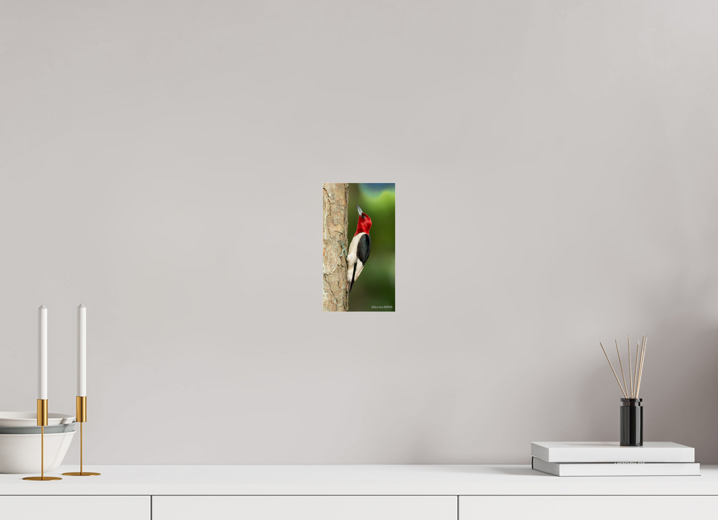 4.5 x 8″, Photo Print Under Acrylic Glass Zillas Zoom Image 492
