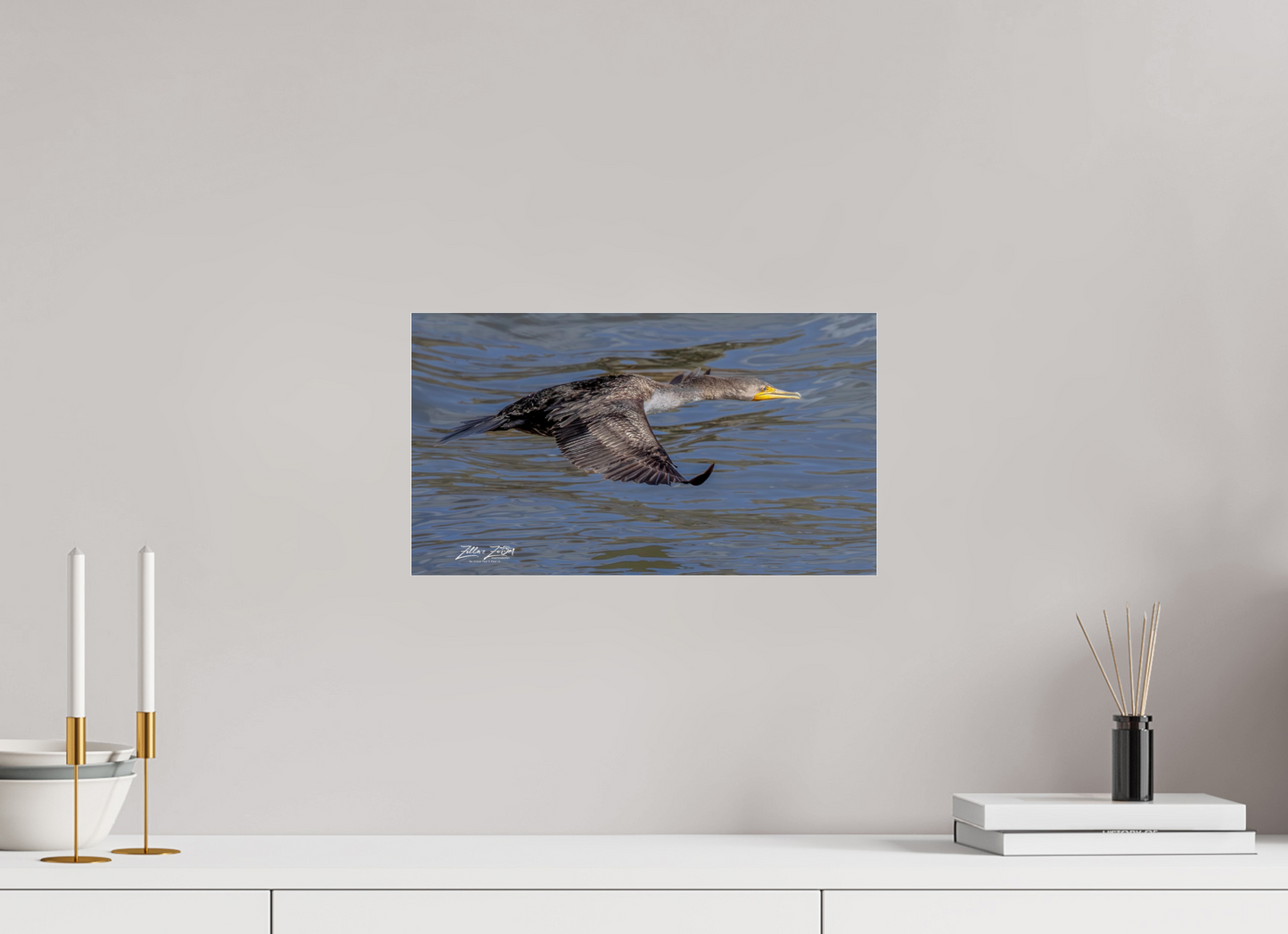 16 x 9″, Photo Print Under Acrylic Glass Zillas Zoom Image 282