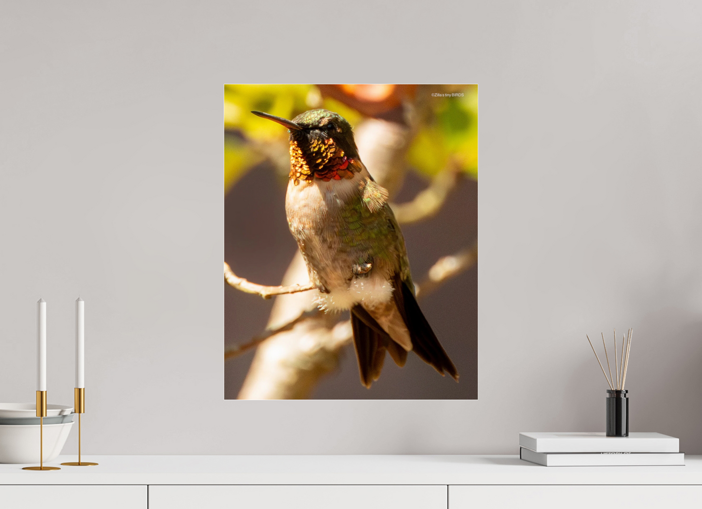 16 x 19.9″, Photo Print Under Acrylic Glass Zillas Zoom Image 339