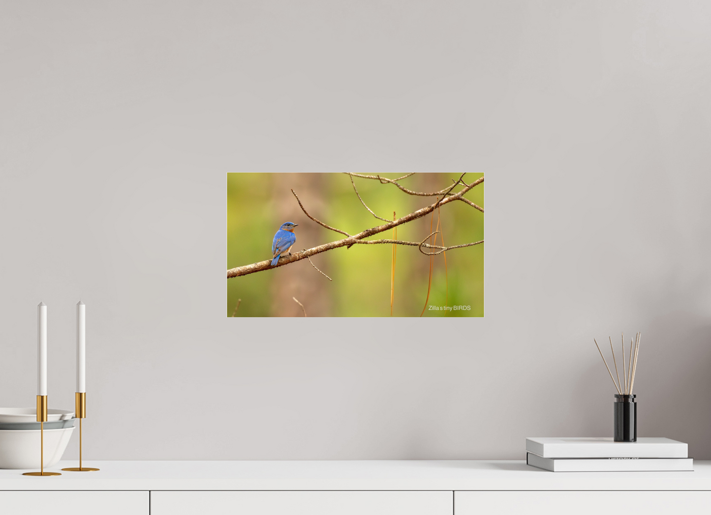 16 x 9″, Photo Print Under Acrylic Glass Zillas Zoom Image 382