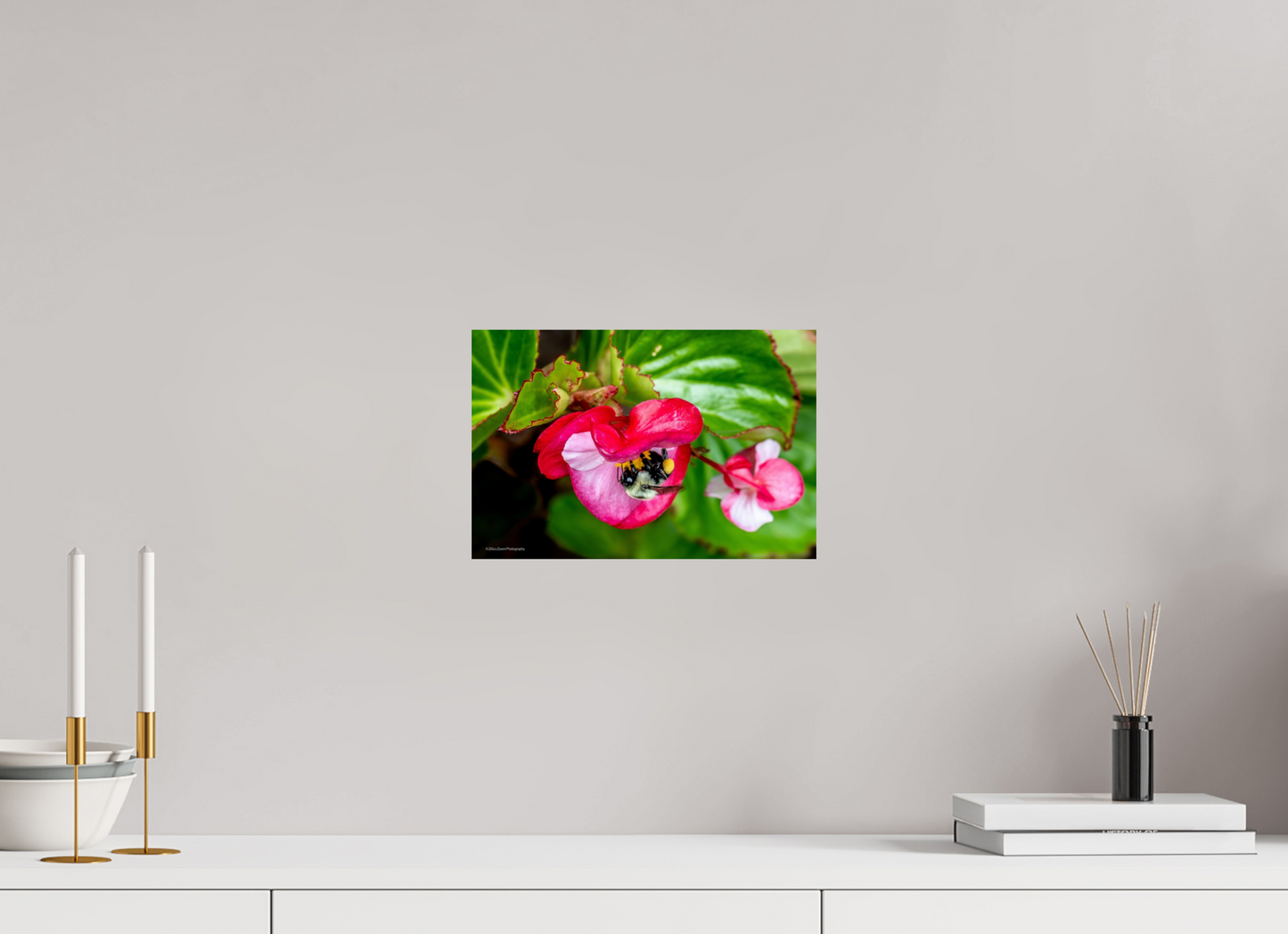 12 x 8″, Photo Print On Fuji Crystal DP II Zillas Zoom Image 96