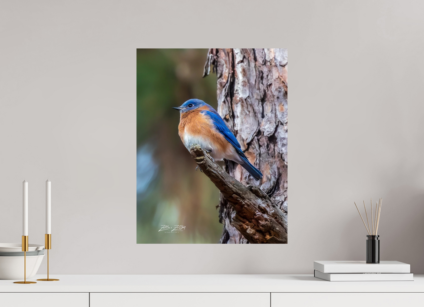 16 x 20.7″, Photo Print On Fuji Crystal DP II Zillas Zoom Image 512
