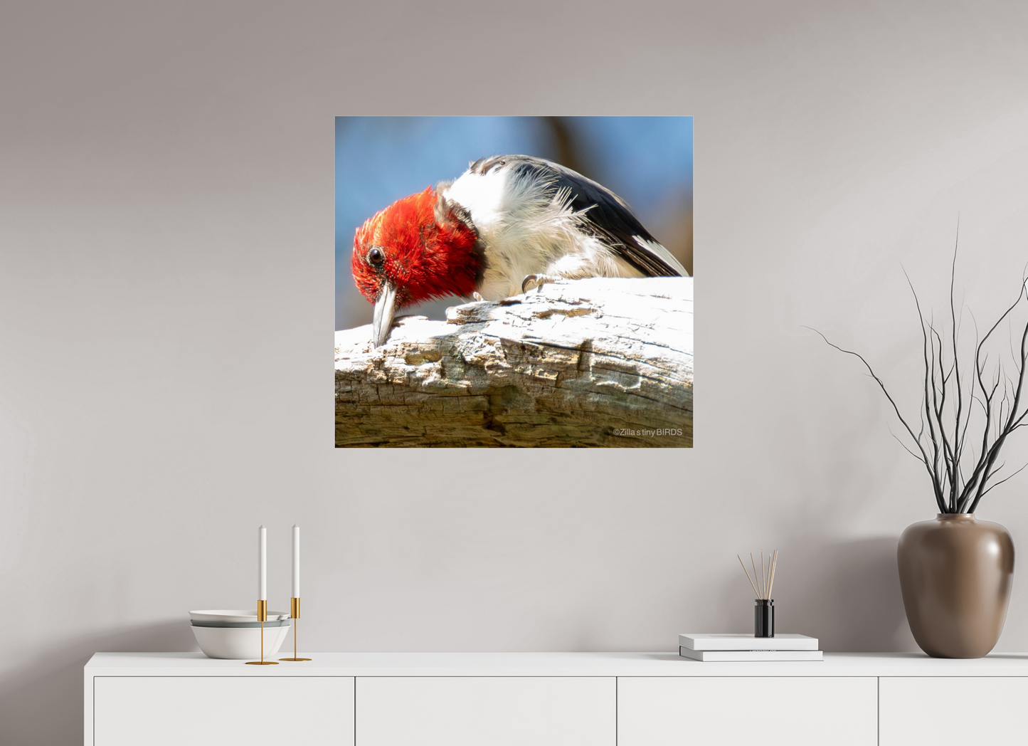 30.2 x 28″, Photo Print Under Acrylic Glass Zillas Zoom Image 270