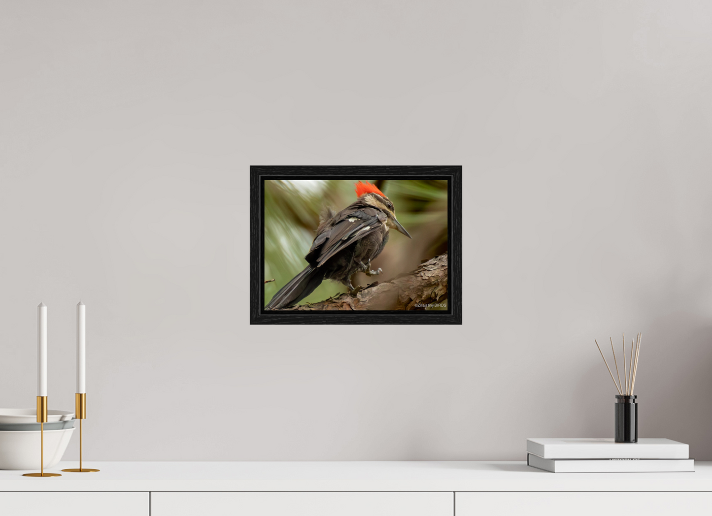 11.2 x 8″, Floater Frame Zillas Zoom Image 333