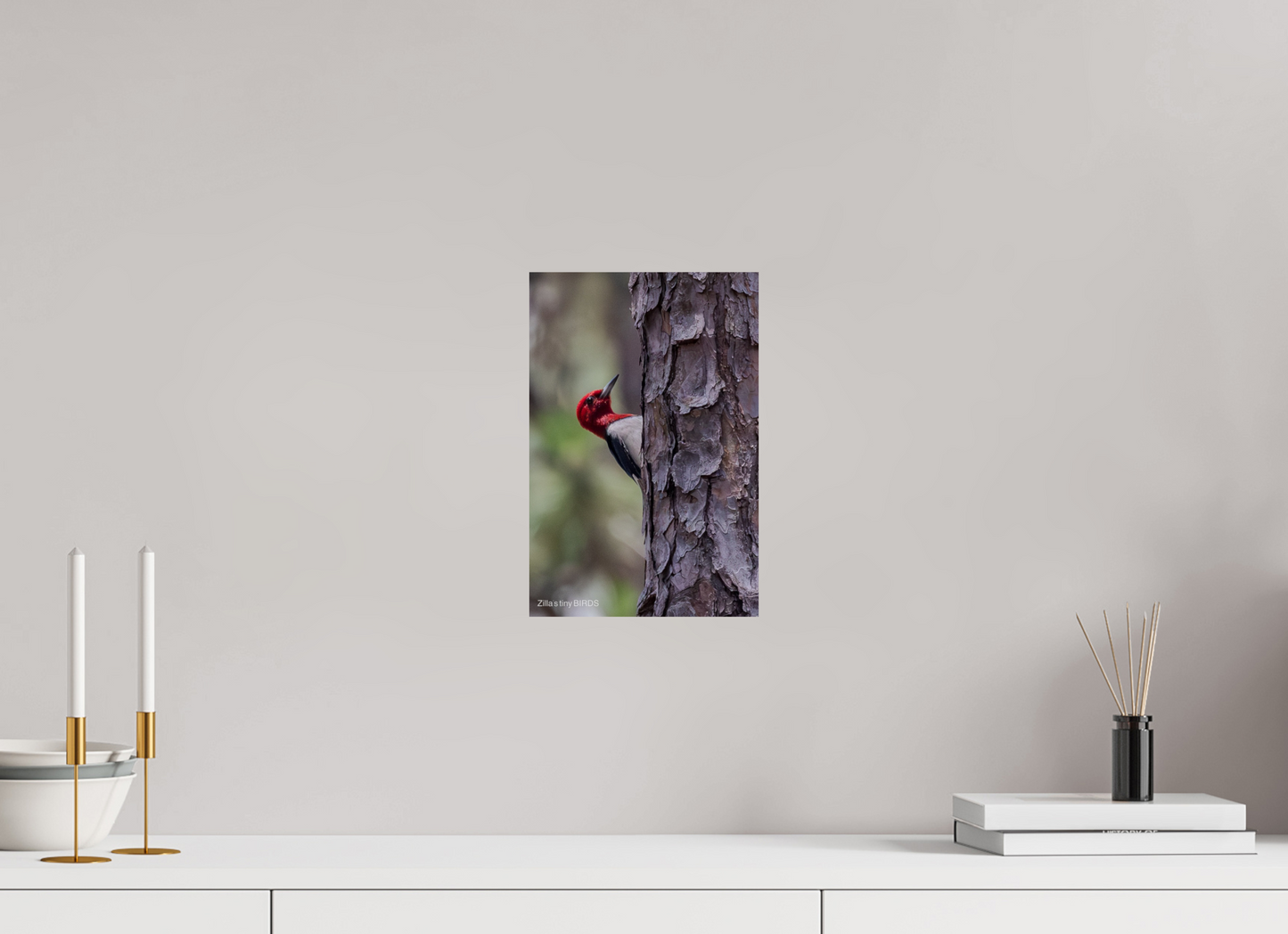 8 x 12″, Photo Print On Fuji Crystal DP II Zillas Zoom Image 506