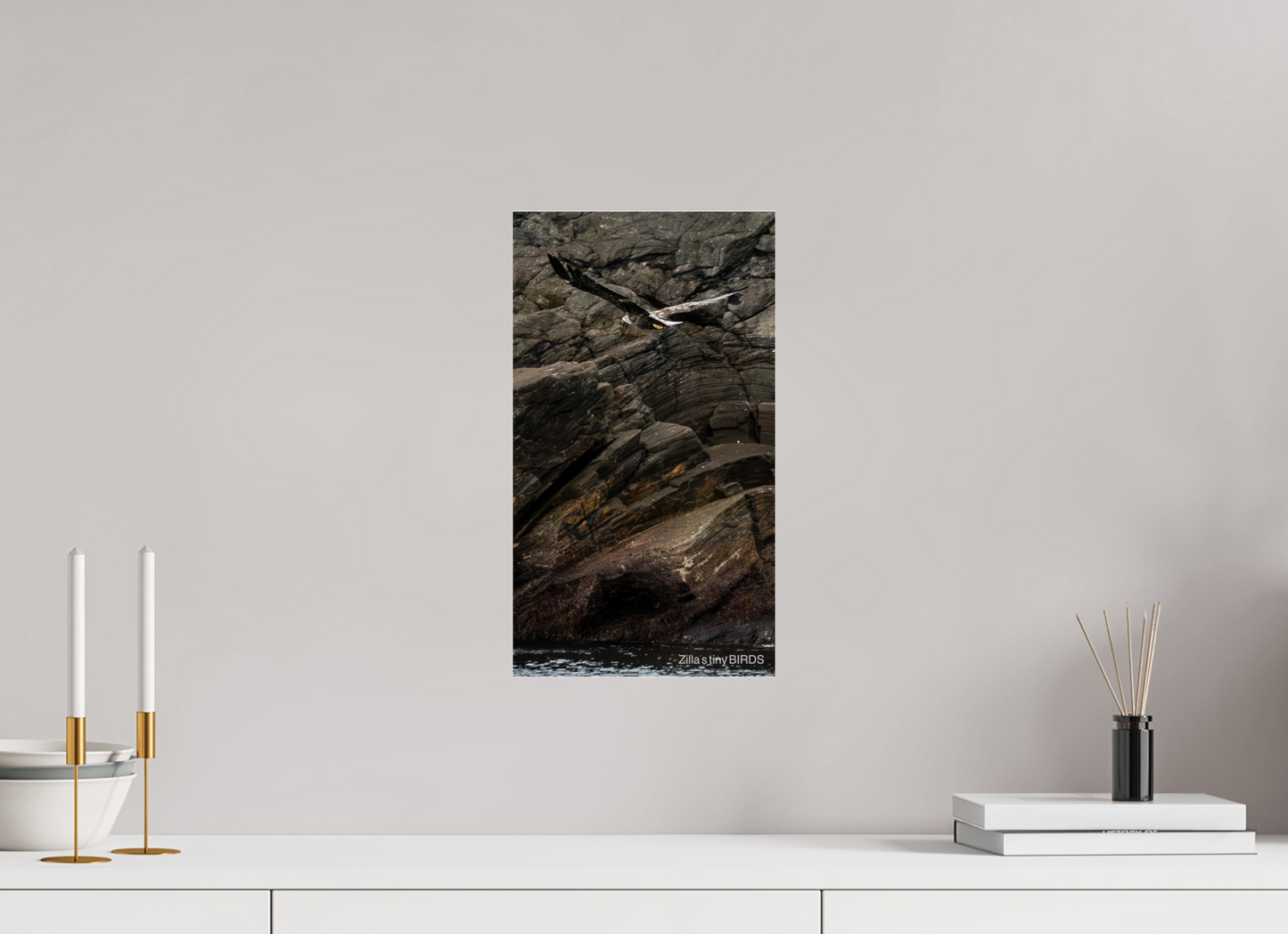9 x 16″, Photo Print Under Acrylic Glass Zillas Zoom Image 244