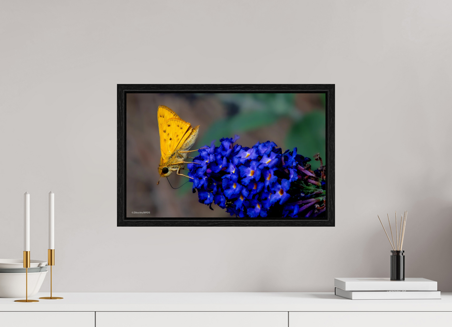 19.2 x 12″, Floater Frame Zillas Zoom Image 61