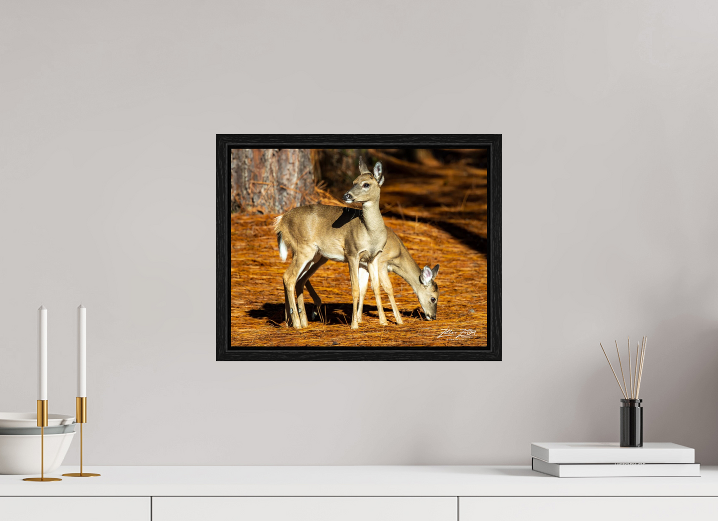 15.6 x 12″, Floater Frame Zillas zoom image 144