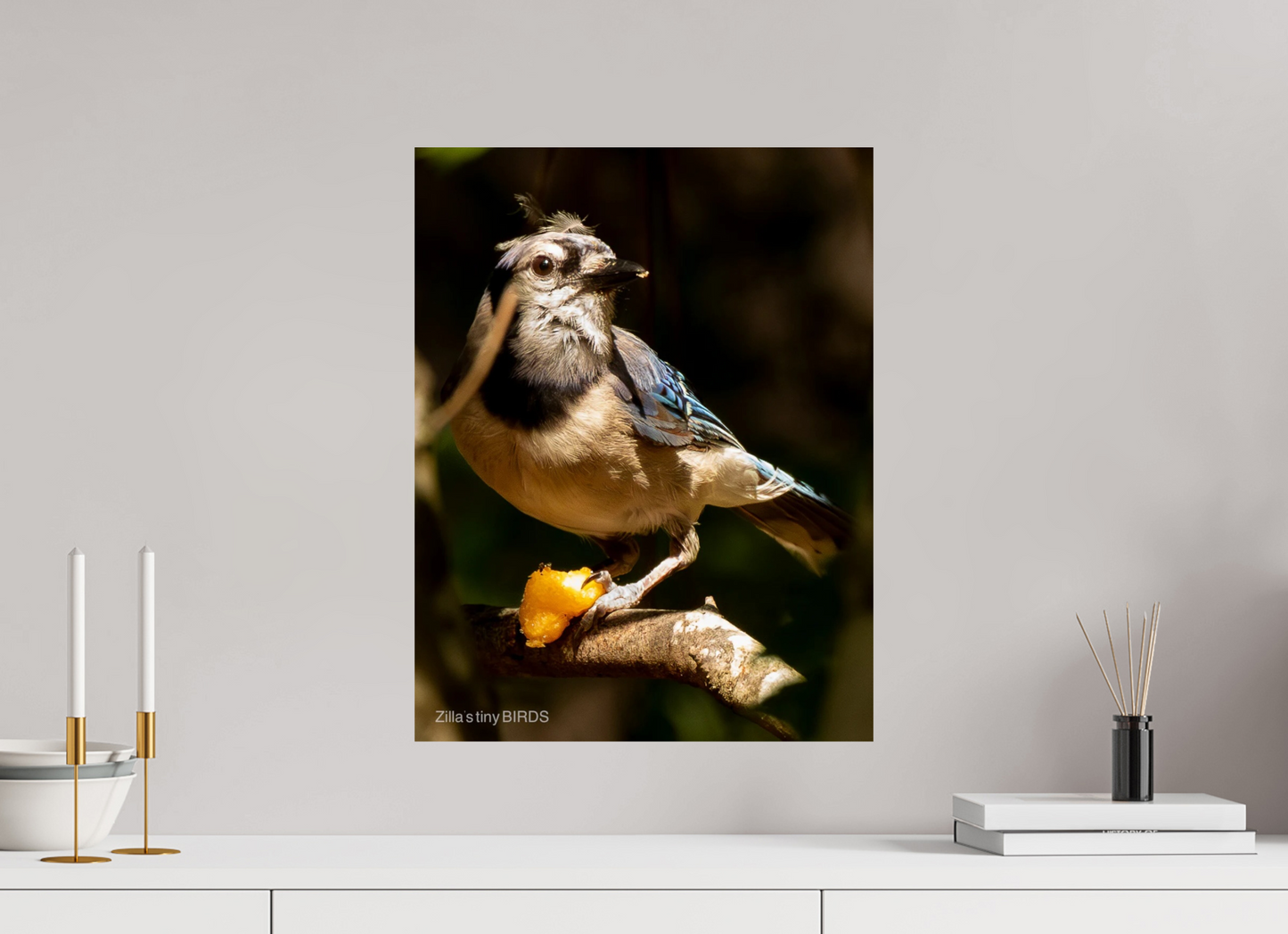 16 x 20.7″, Photo Print On Fuji Crystal DP II Zillas Zoom Image 480