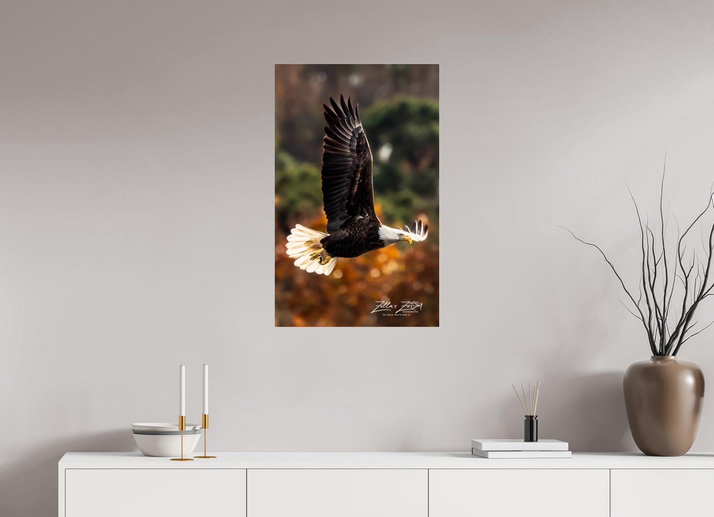 20 x 32″, Photo Print Under Acrylic Glass Zillas Zoom Image 415