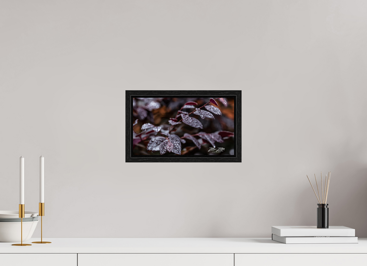 12 x 6.8″, Floater Frame Zillas Zoom Image 88
