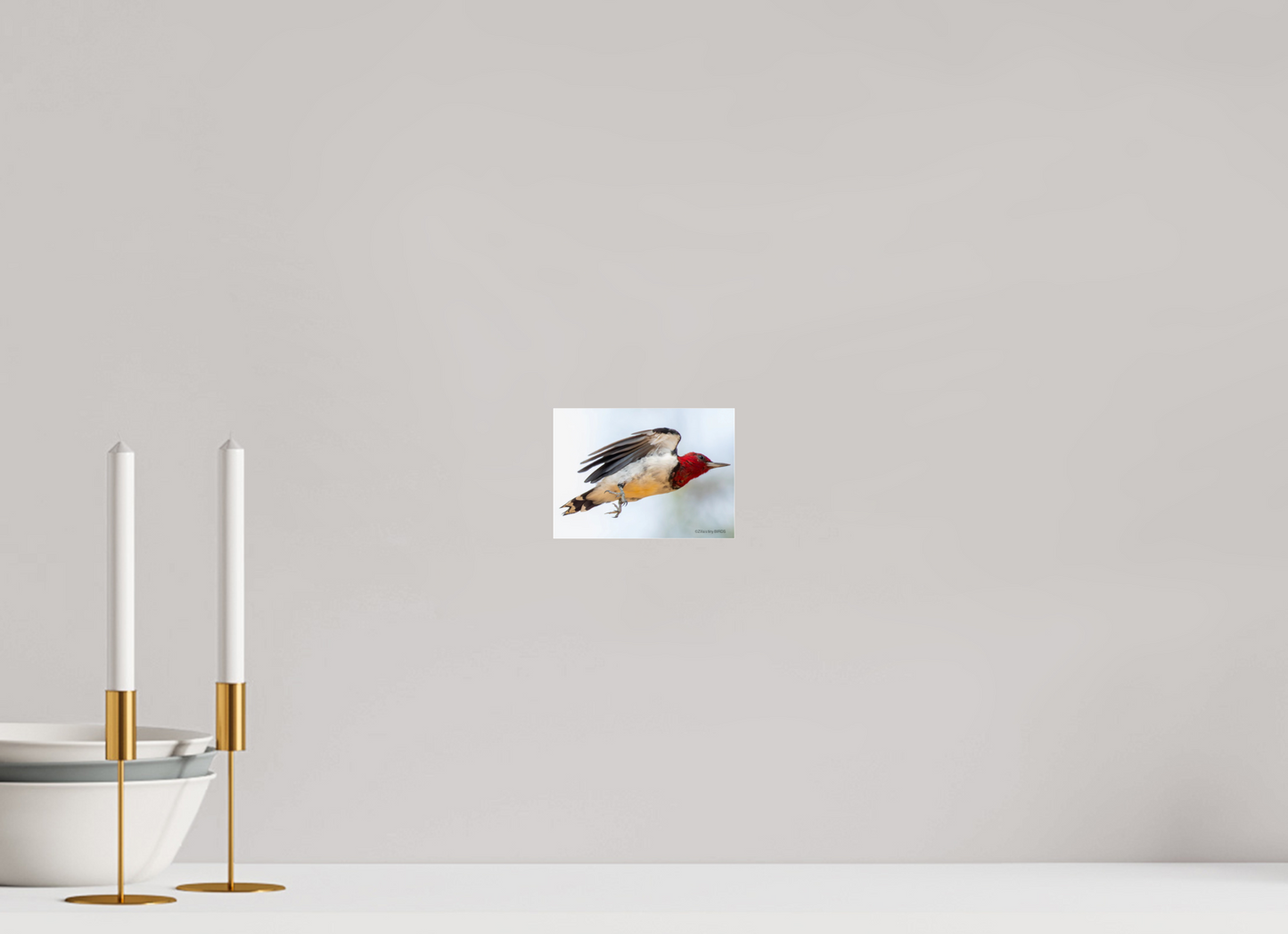 5.6 x 4″, Photo Print Under Acrylic Glass Zillas Zoom Image 325
