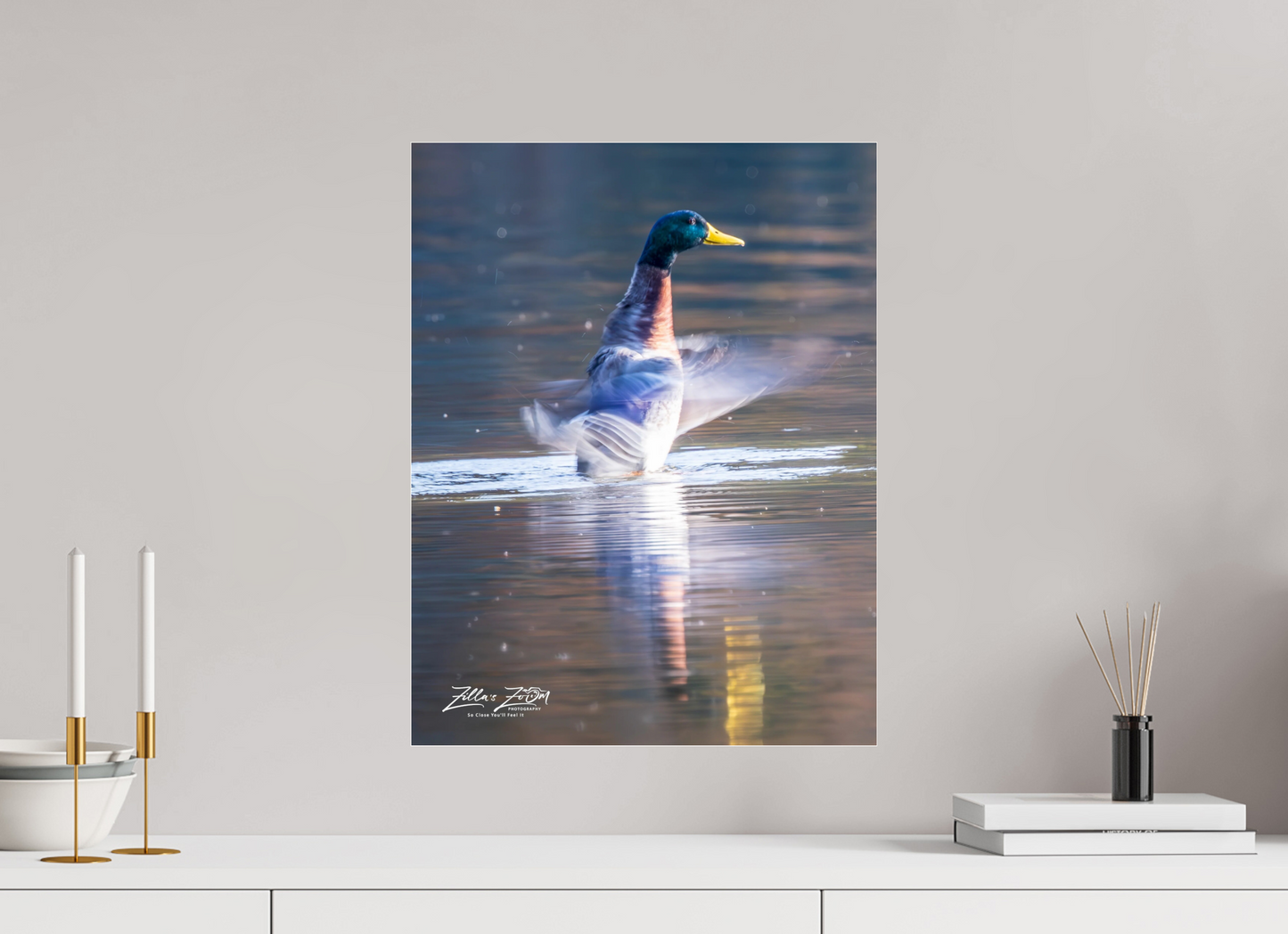 16 x 20.7″, Photo Print Under Acrylic Glass Zillas Zoom Image 448