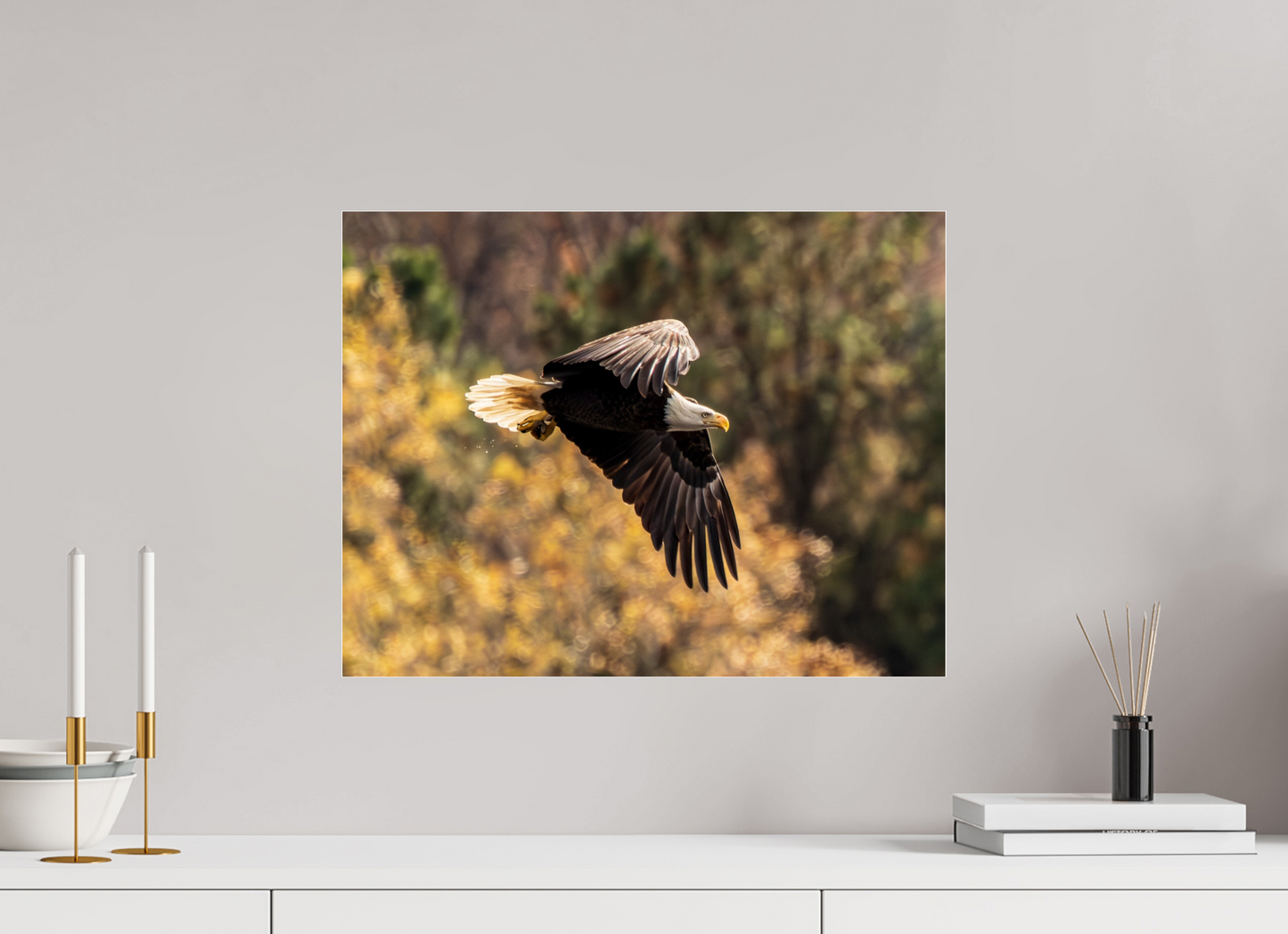 20.7 x 16″, Photo Print Under Acrylic Glass Zillas Zoom Image 395