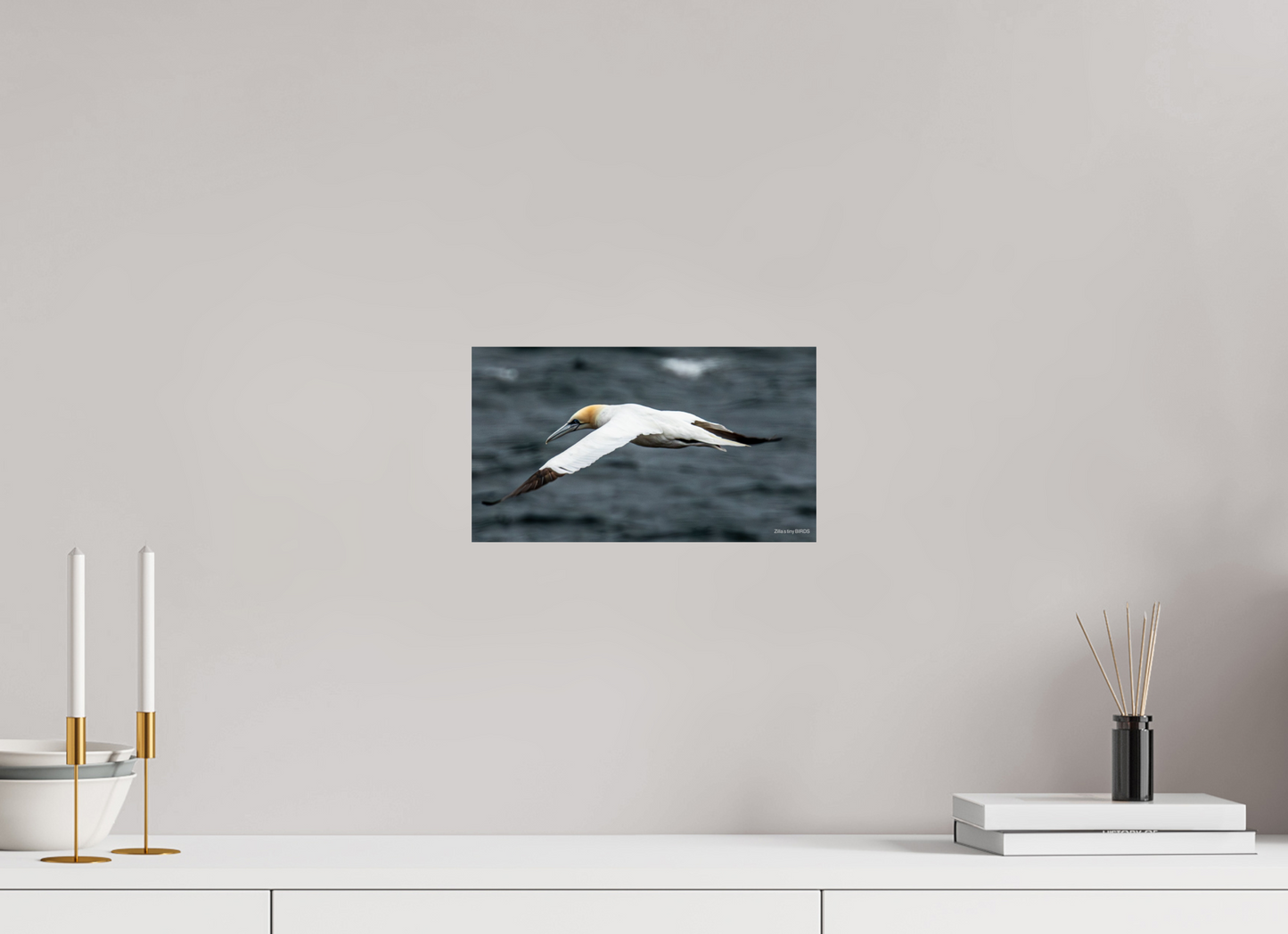 12 x 6.8″, Photo Print On Fuji Crystal DP II Zillas Zoom Image 324