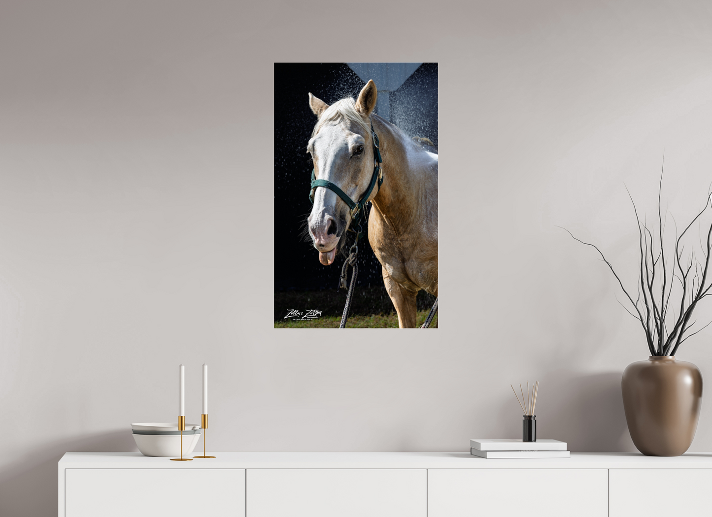 20 x 32.4″, Photo Print Under Acrylic Glass Zillas zoom image 156