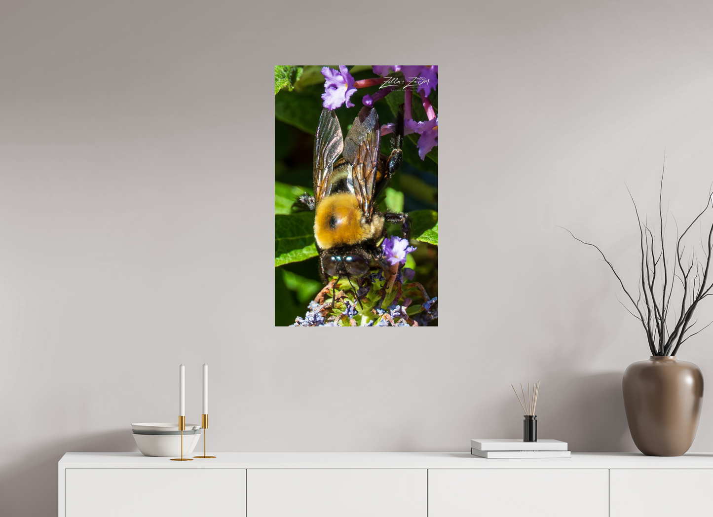 20 x 32″, Photo Print On Fuji Crystal DP II Zillas Zoom Image 109