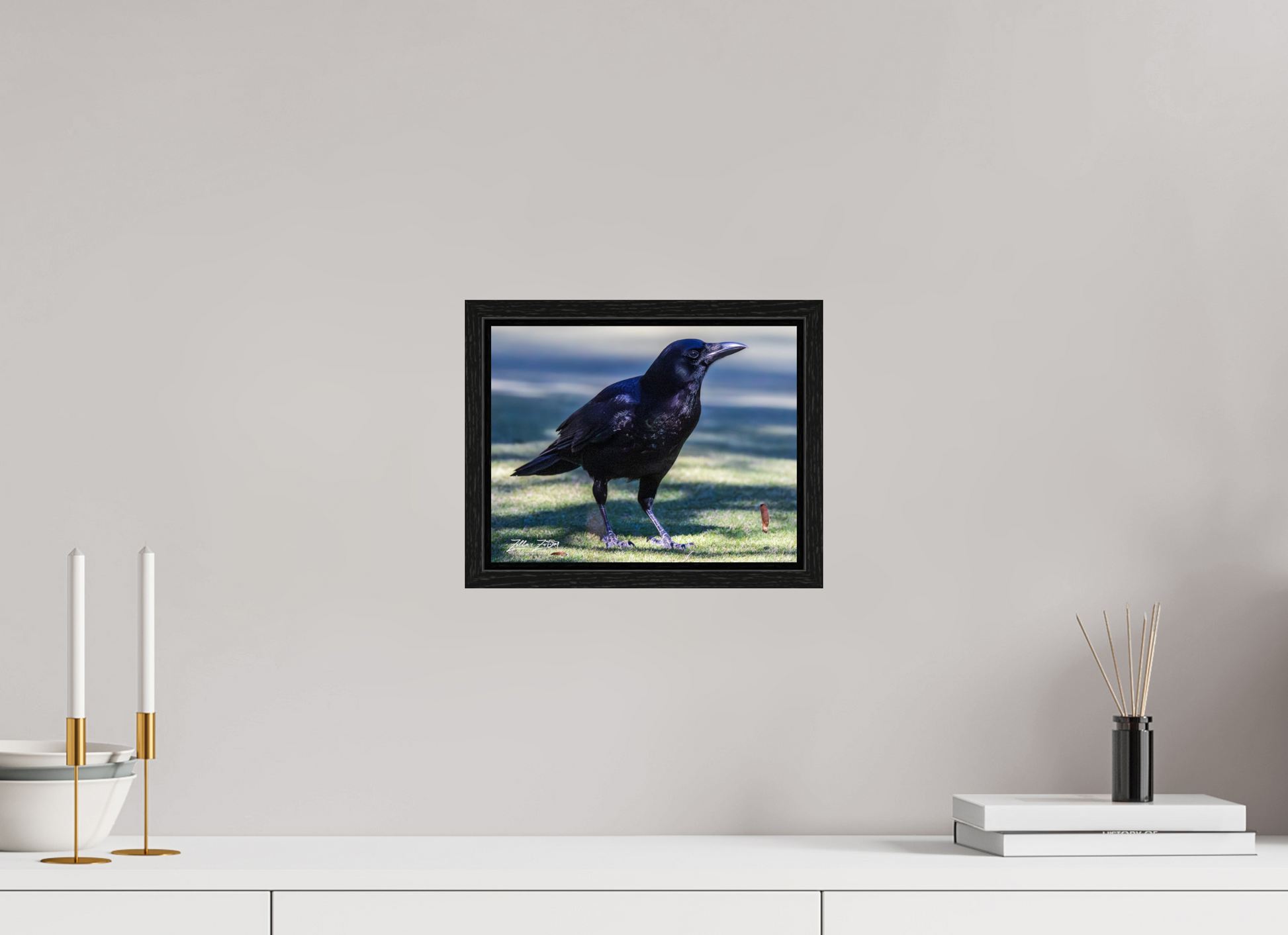 10.4 x 8″, Floater Frame Zillas Zoom Image 322