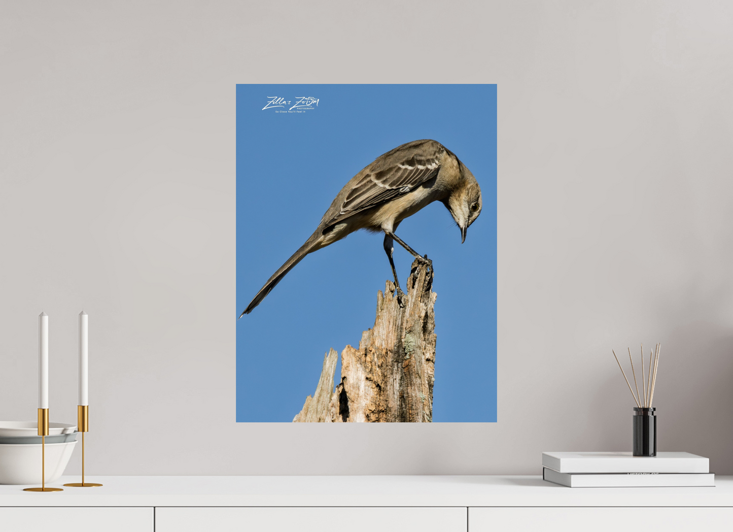 16 x 20.7″, Photo Print On Fuji Crystal DP II Zillas Zoom Image 410