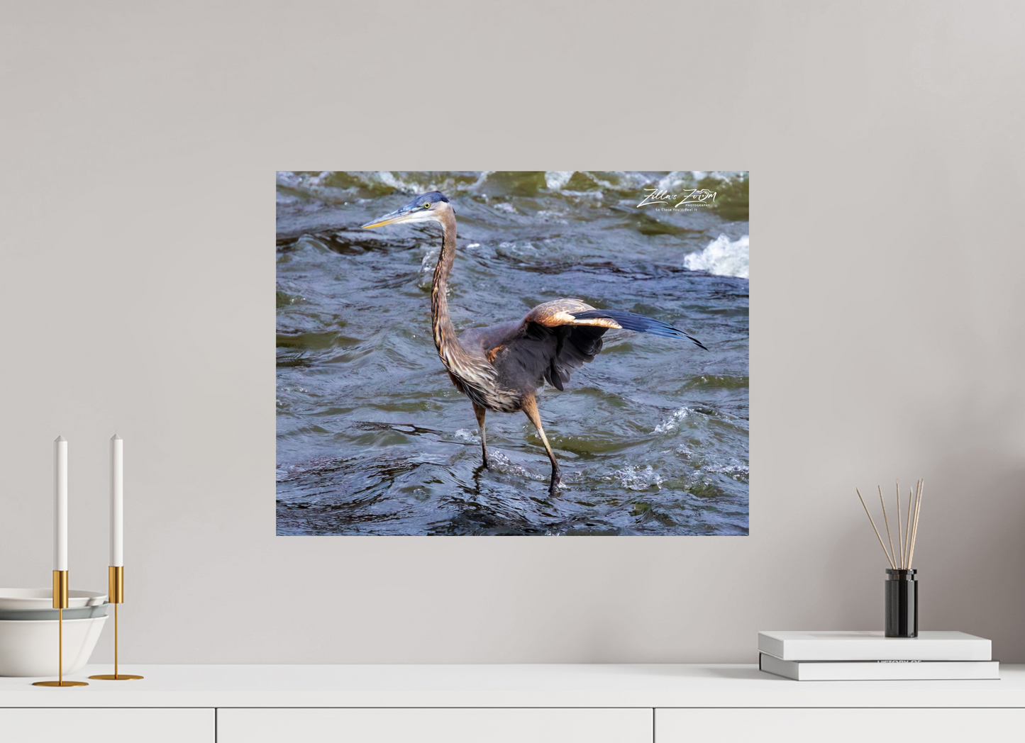 20.7 x 16″, Photo Print On Fuji Crystal DP II Zillas Zoom Image 301