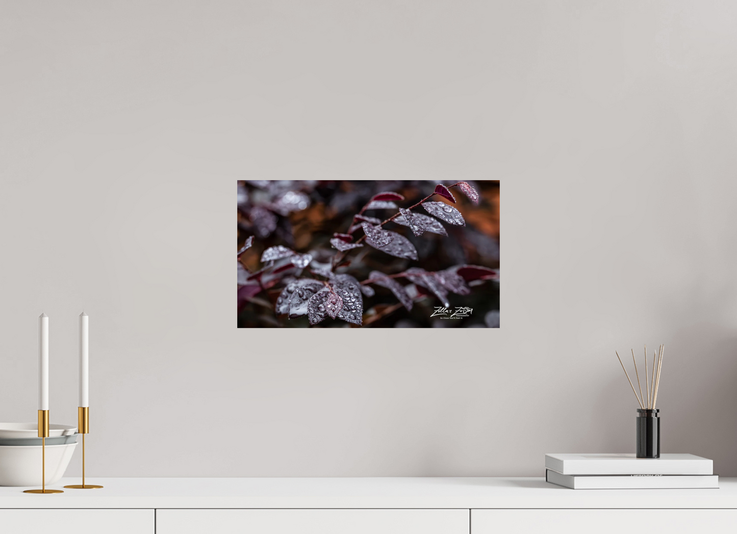 16 x 9″, Photo Print On Fuji Crystal DP II Zillas Zoom Image 88