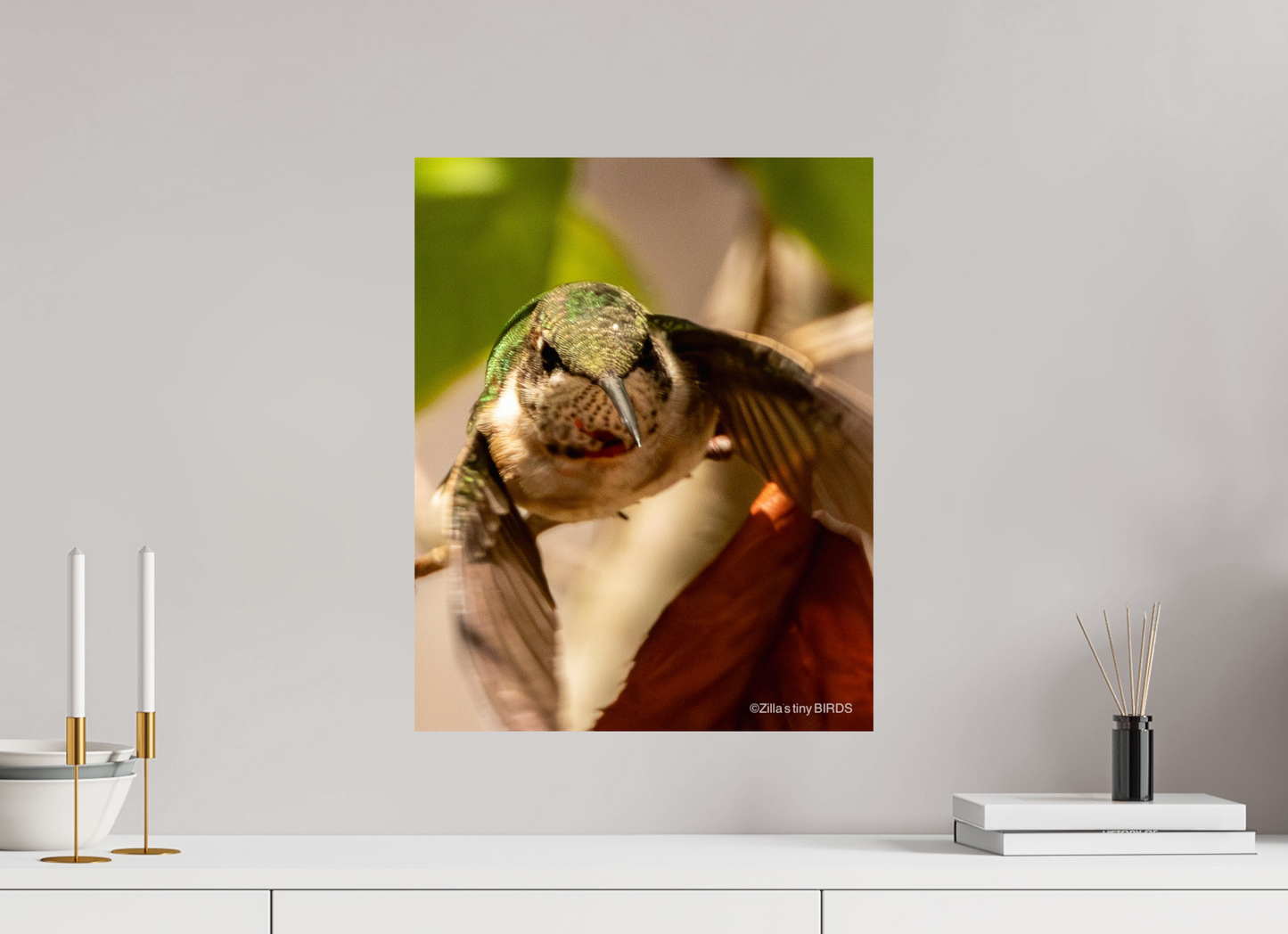 16 x 20″, Photo Print On Fuji Crystal DP II Zillas Zoom Image 504