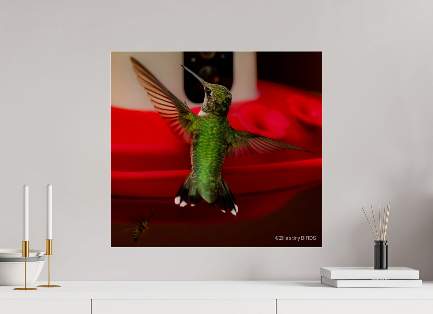 21.6 x 20″, Photo Print Under Acrylic Glass Zillas Zoom Image 364