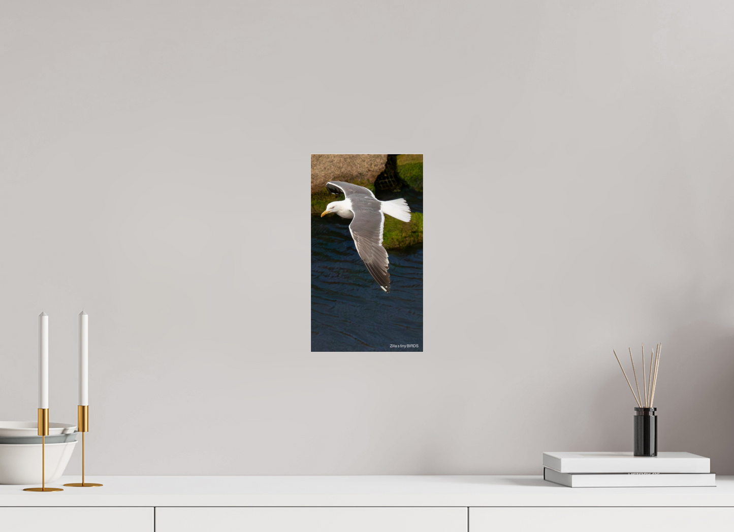 6.8 x 12″, Photo Print Under Acrylic Glass Zillas Zoom Image 476