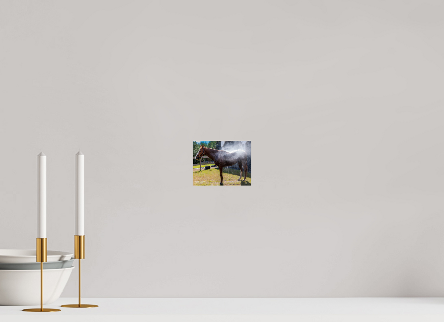 5.2 x 4″, Photo Print Under Acrylic Glass Zillas zoom image 145