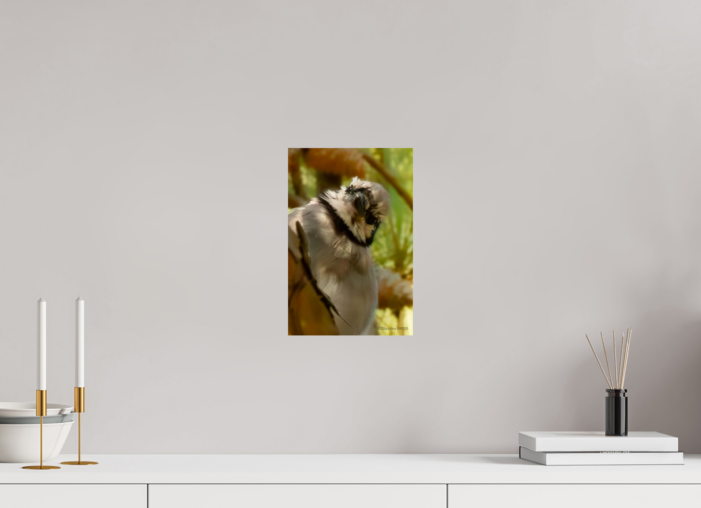 8 x 12″, Photo Print On Fuji Crystal DP II Zillas Zoom Image 400