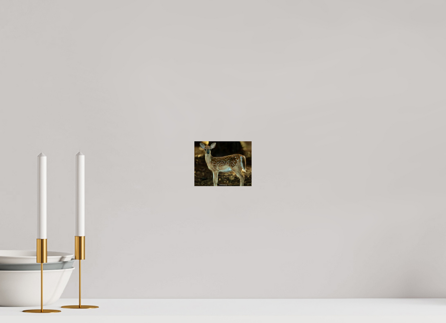 5.1 x 4″, Photo Print Under Acrylic Glass Zillas zoom image 140