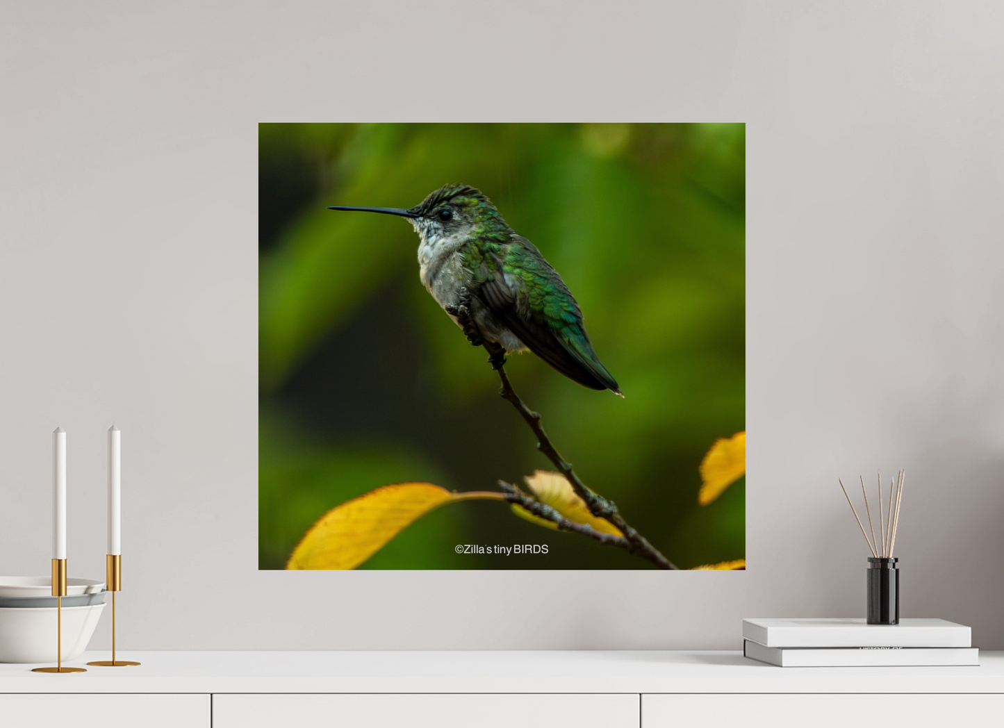 21.8 x 20″, Photo Print On Fuji Crystal DP II Zillas Zoom Image 311