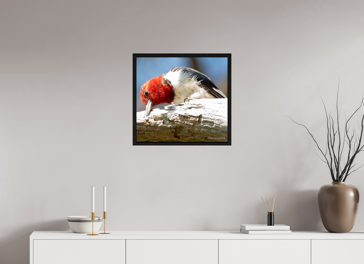 21.6 x 20″, Floater Frame Zillas Zoom Image 270
